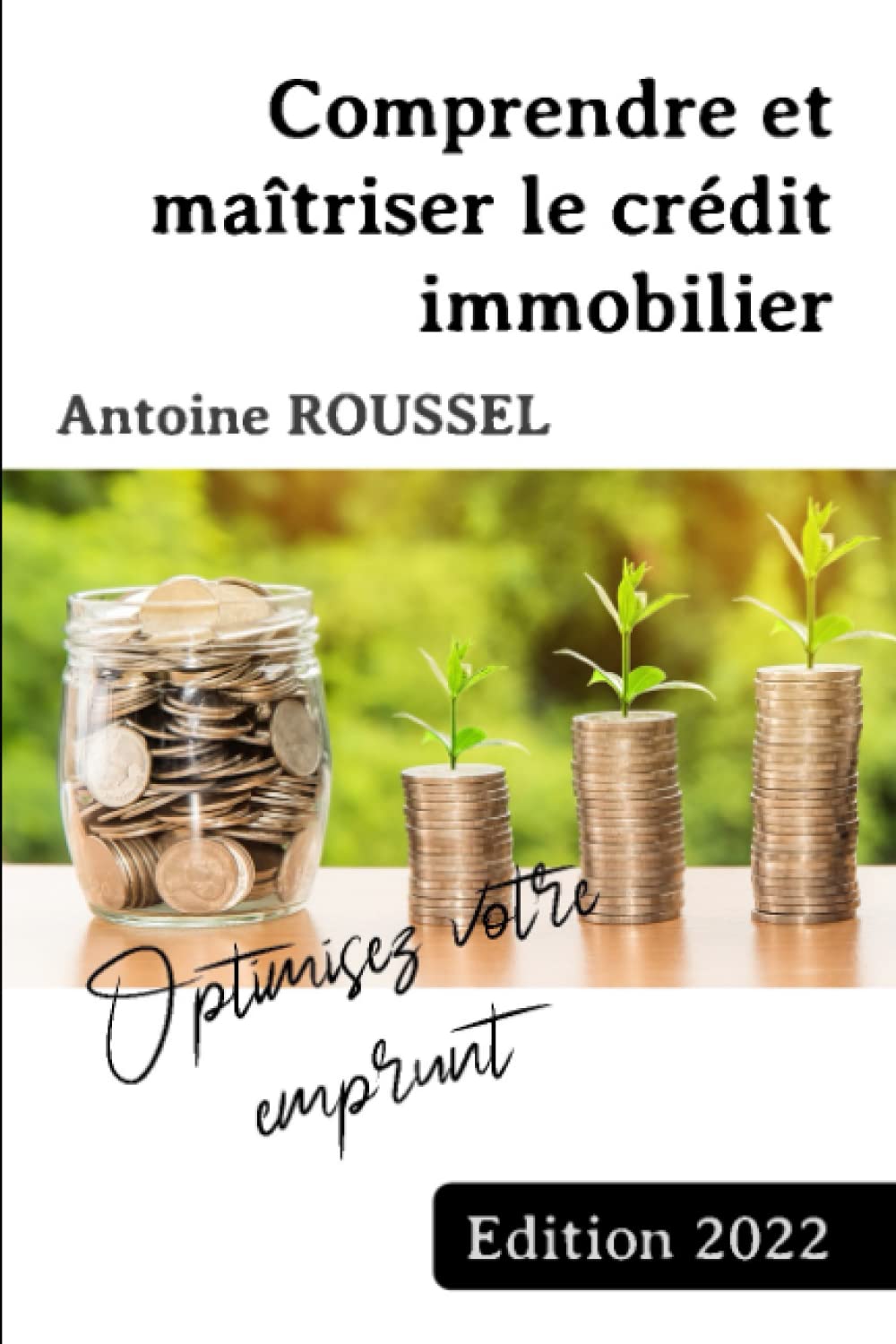 Comprendre et maîtriser le crédit immobilier: Optimisez votre emprunt Business, Finance & Career