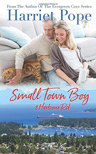 Small Town Boy: Evergreen Cove Prequel Contemporary literature