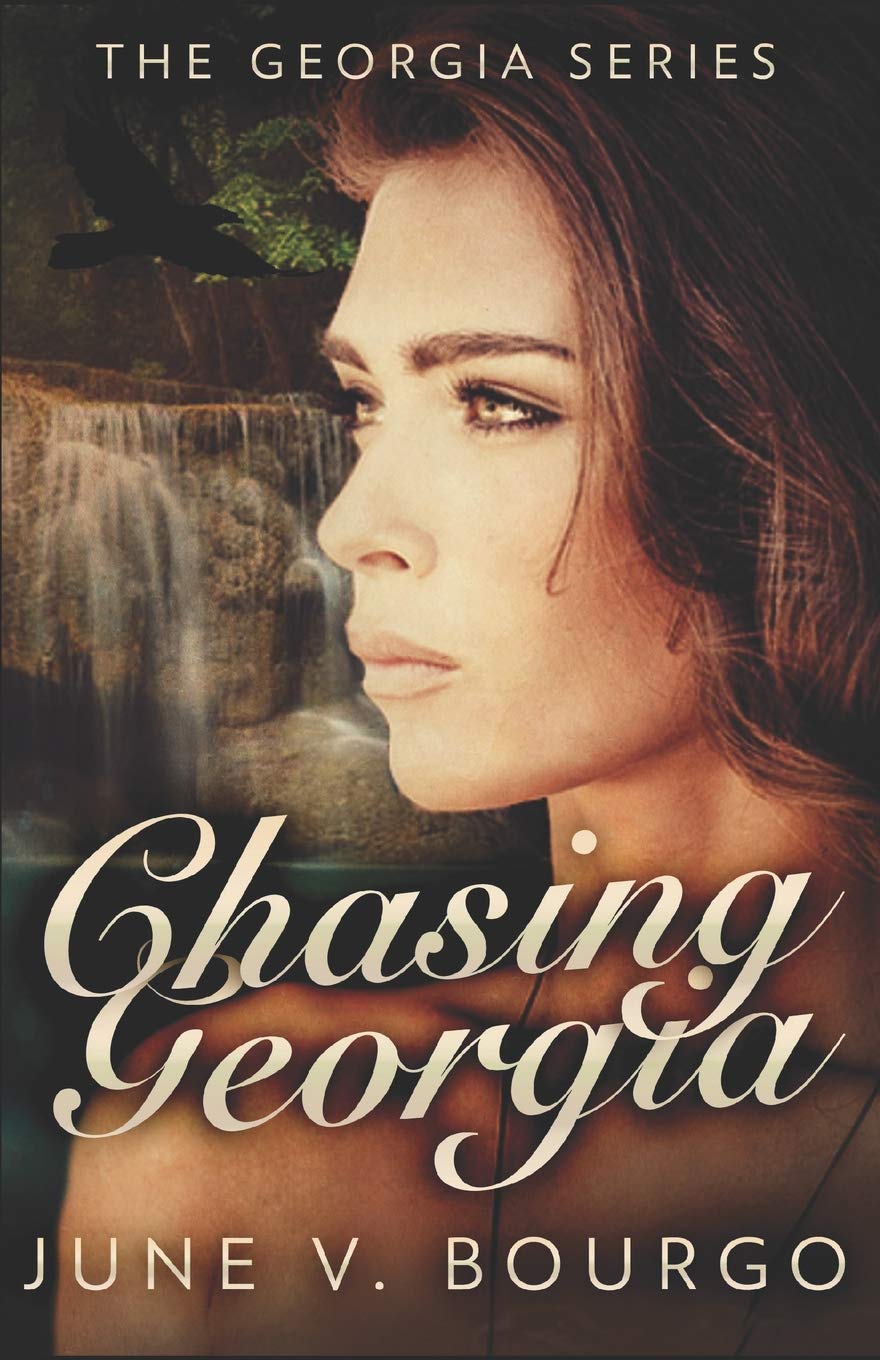 Chasing Georgia (The Georgia Series, Band 2) Contemporary literature