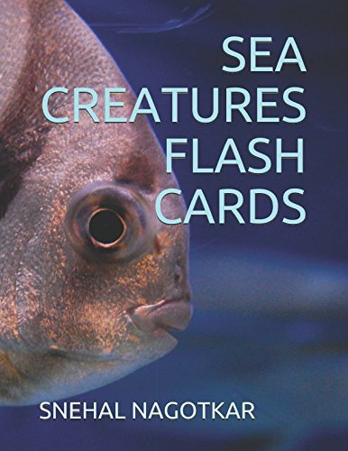 Sea Creatures Flash Cards (Flash cards Book no.6, Band 6) Books