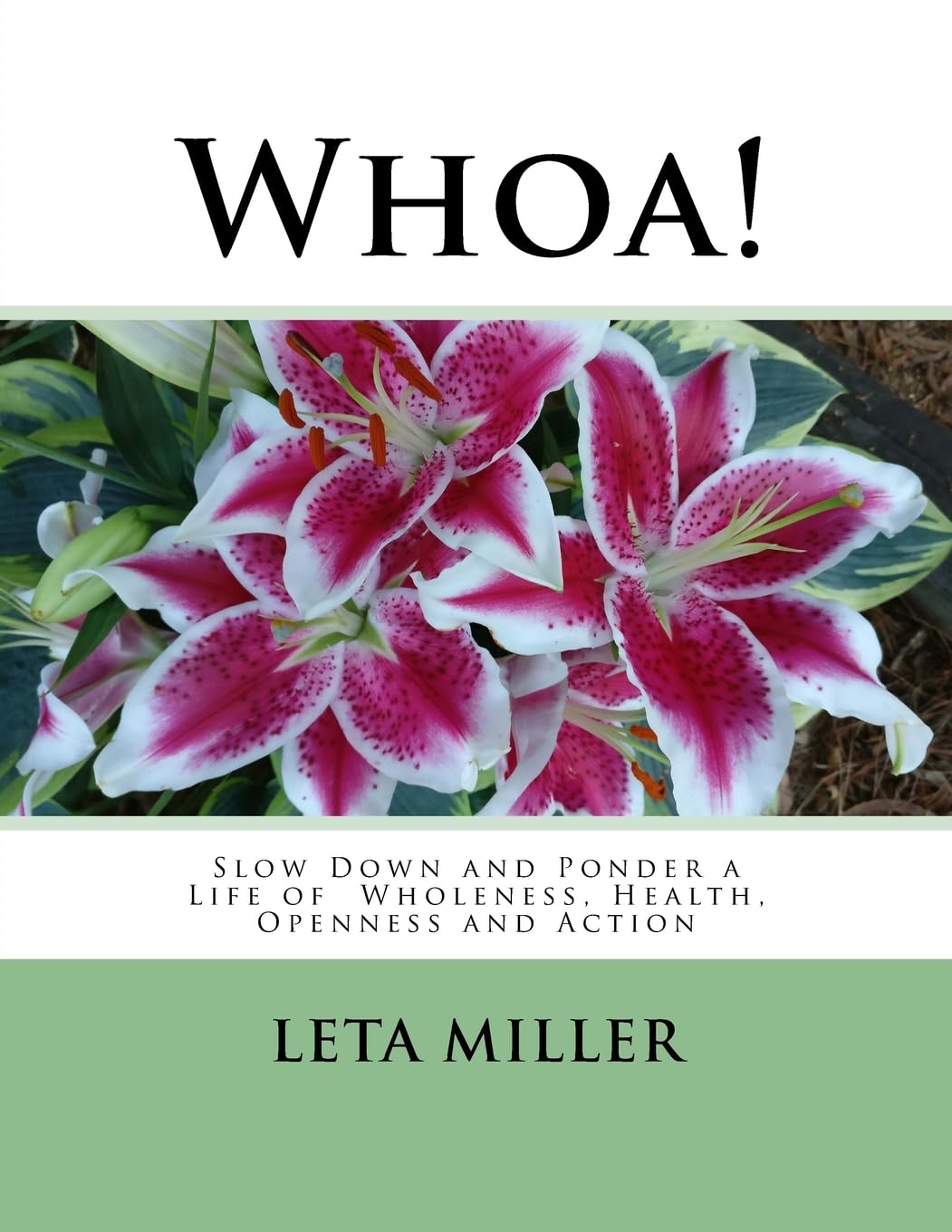 Whoa!: Slow Down and Ponder a Life of Wholeness, Health, Openness and Action Religion & Esotericism