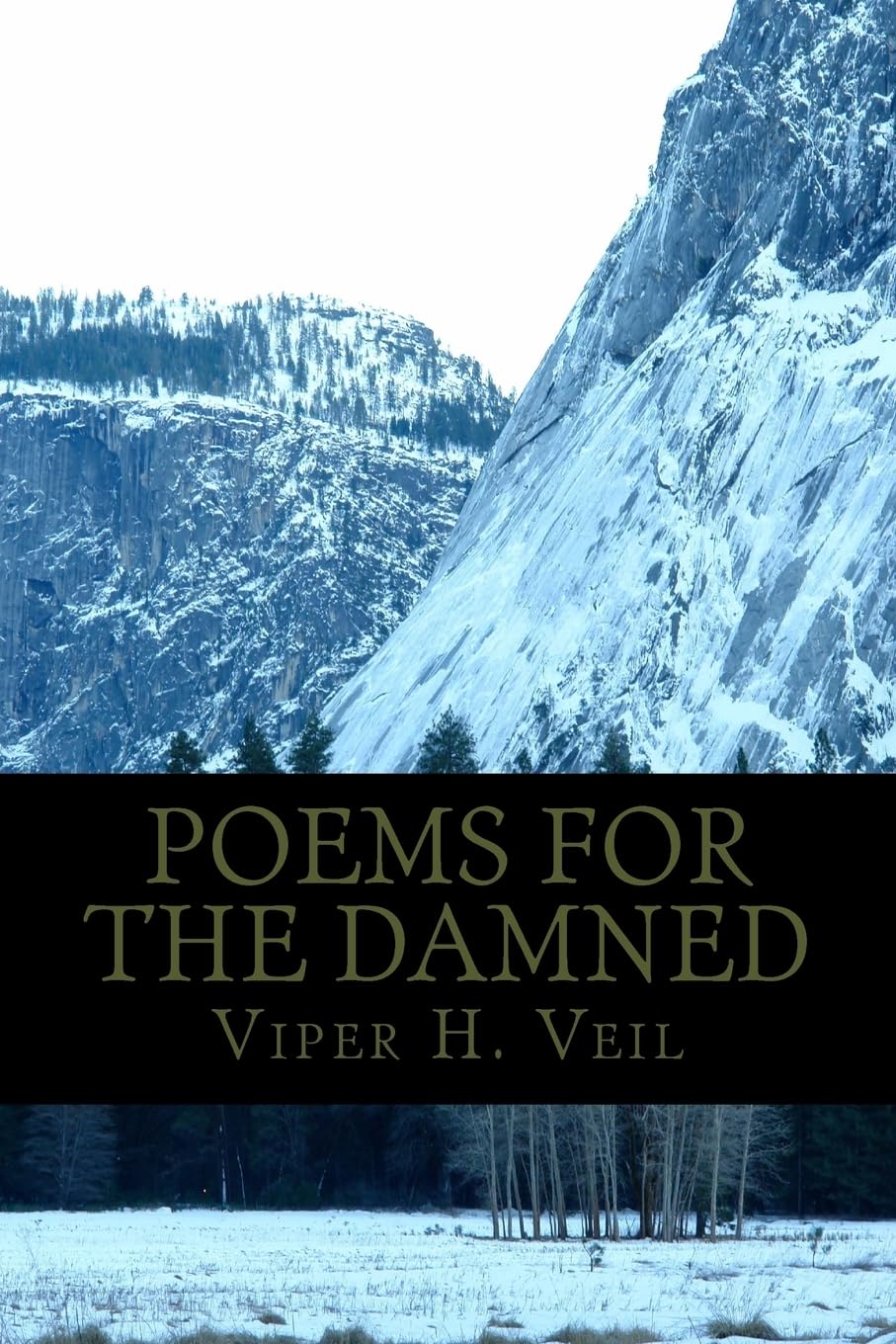 Poems For The Damned (Vortex Poems, Band 1) Poetry