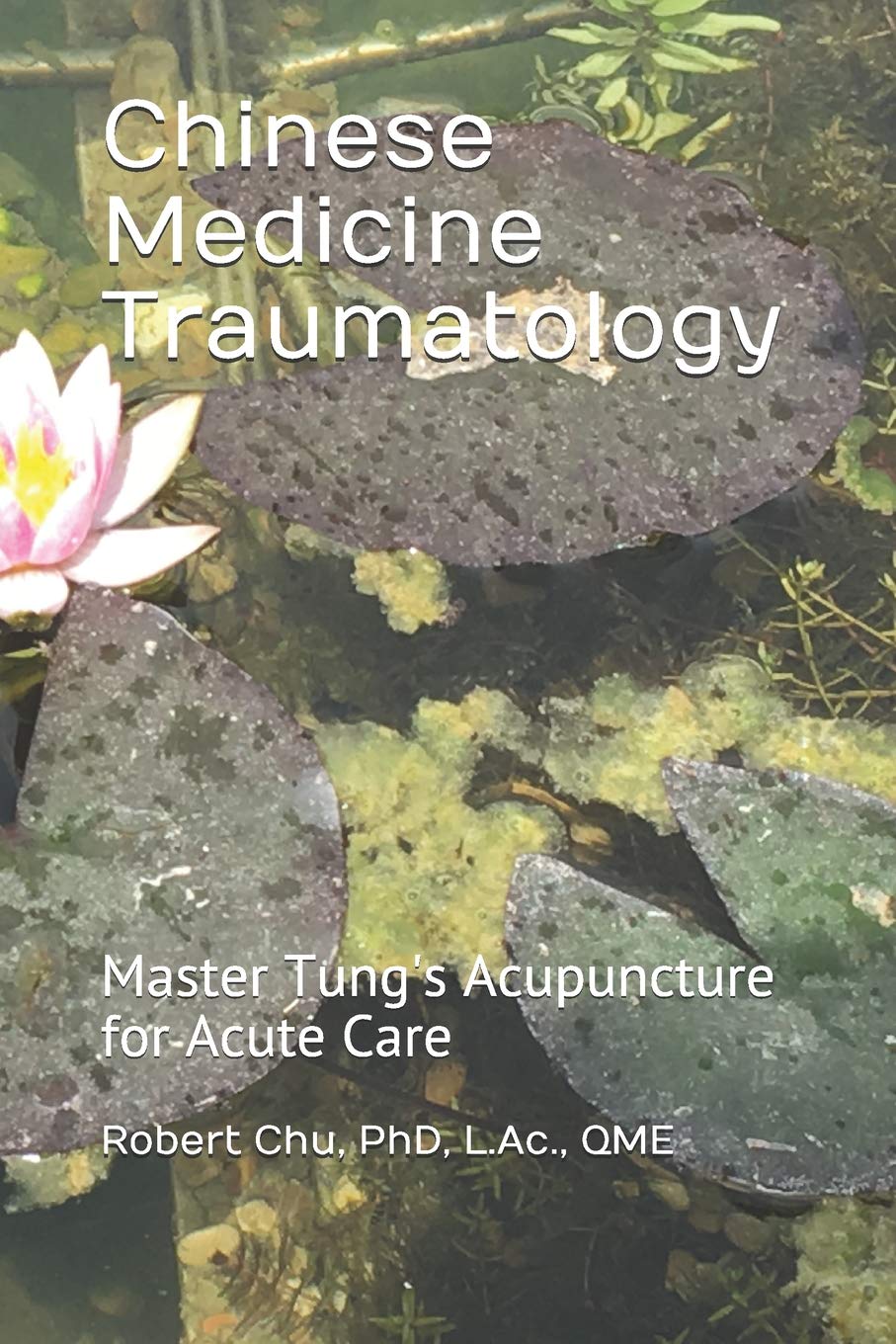 Chinese Medicine Traumatology: Master Tung's Acupuncture for Acute Care book