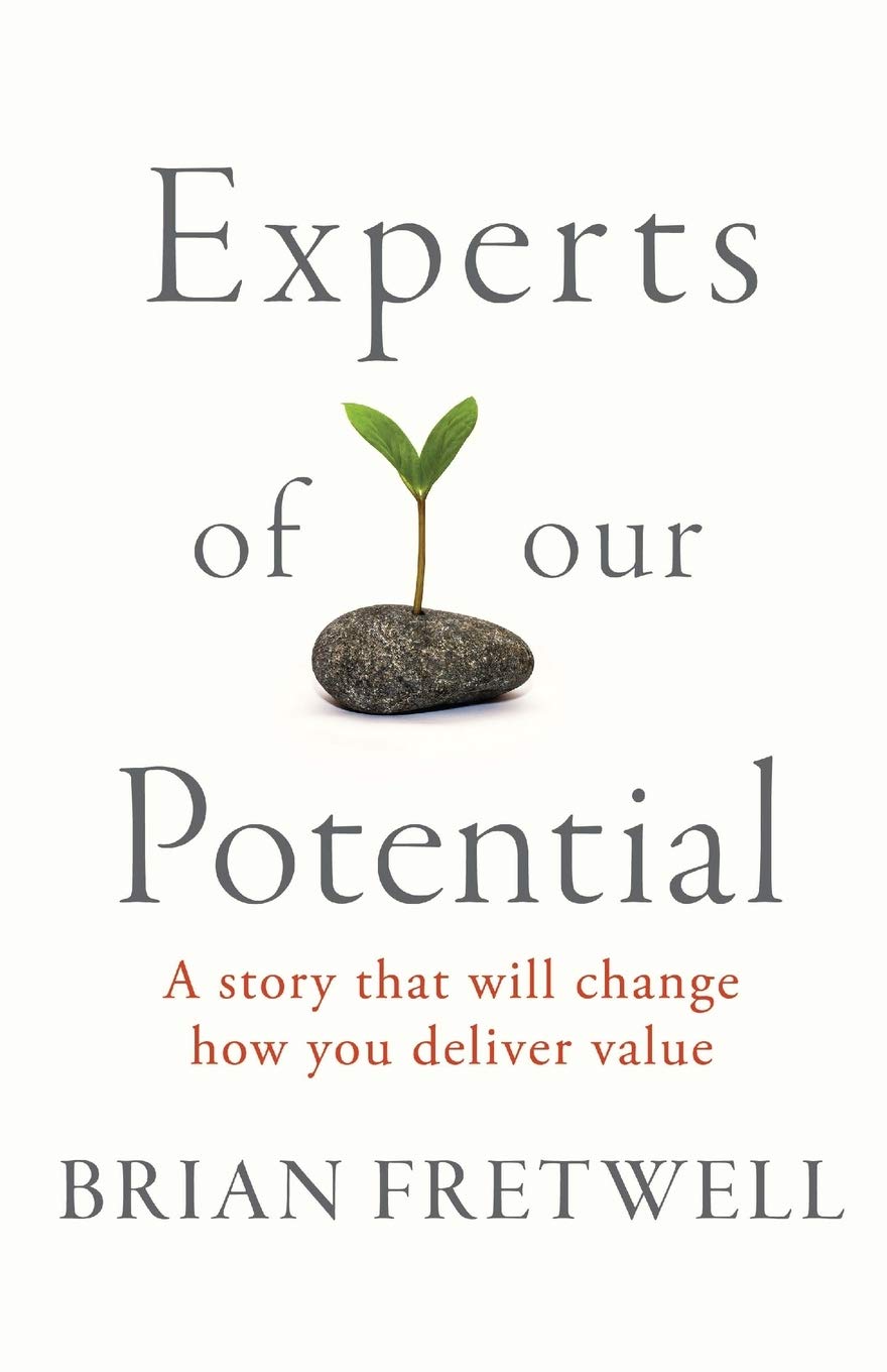 Experts Of Our Potential: A Story That Will Change The Way You Deliver Value Business, Finance & Career