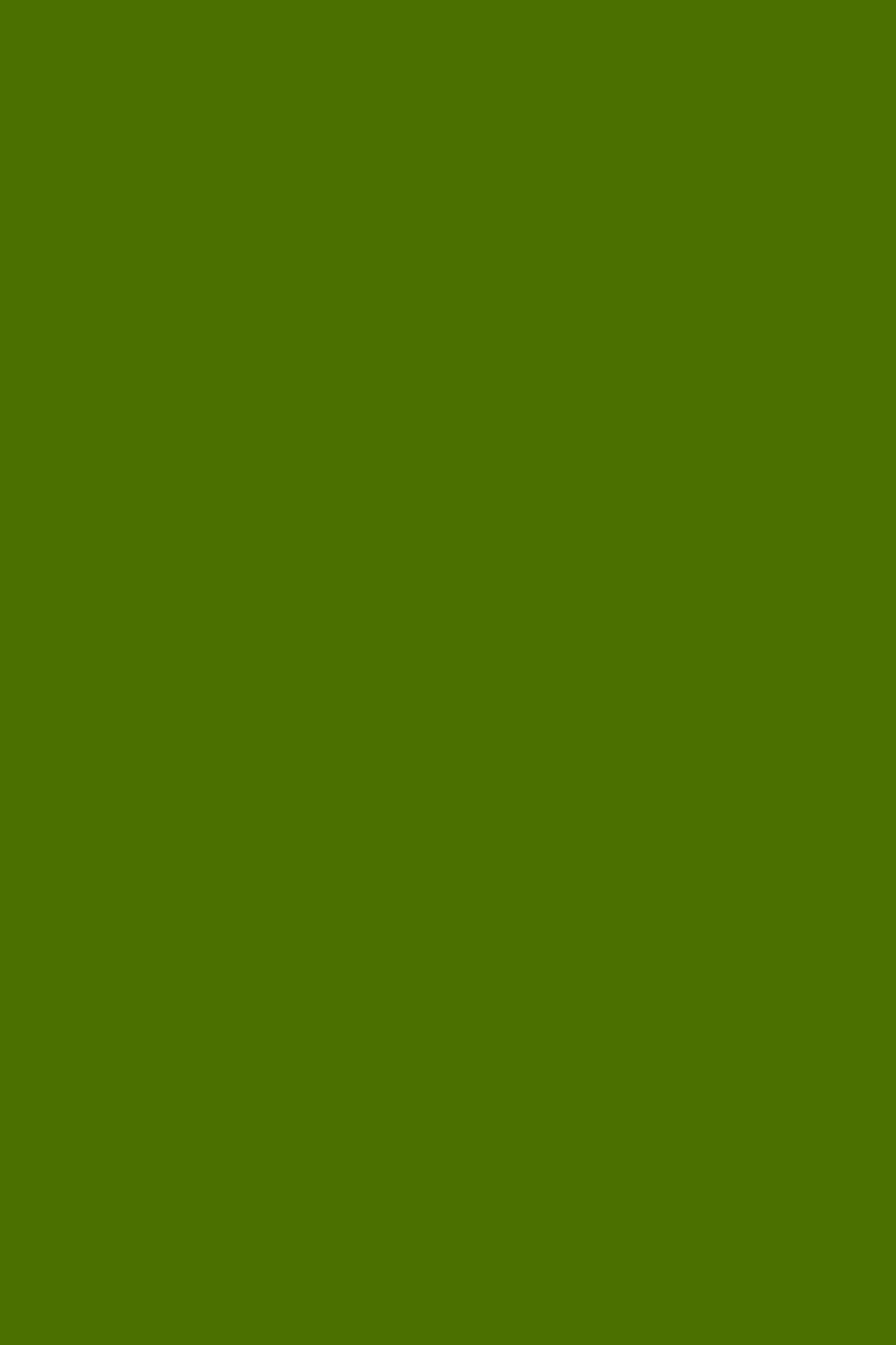Olive Green 190 - Lined Notebook: Wide Ruled, Soft Cover, 6 x 9 Journal, 190 Pages Self-help