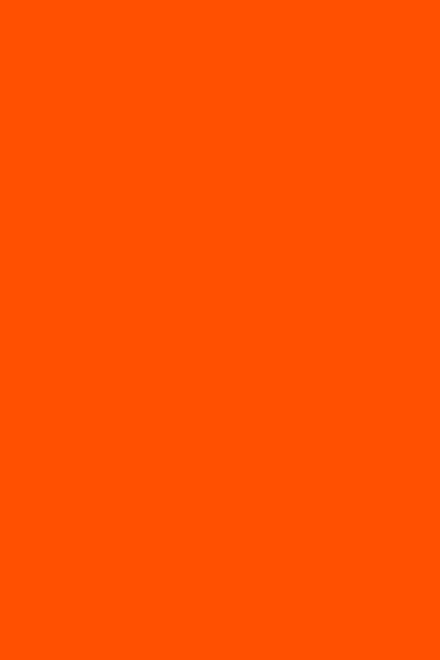 Orange 190 - Lined Notebook: Wide Ruled, Soft Cover, 6 x 9 Journal, 190 Pages Lifestyle