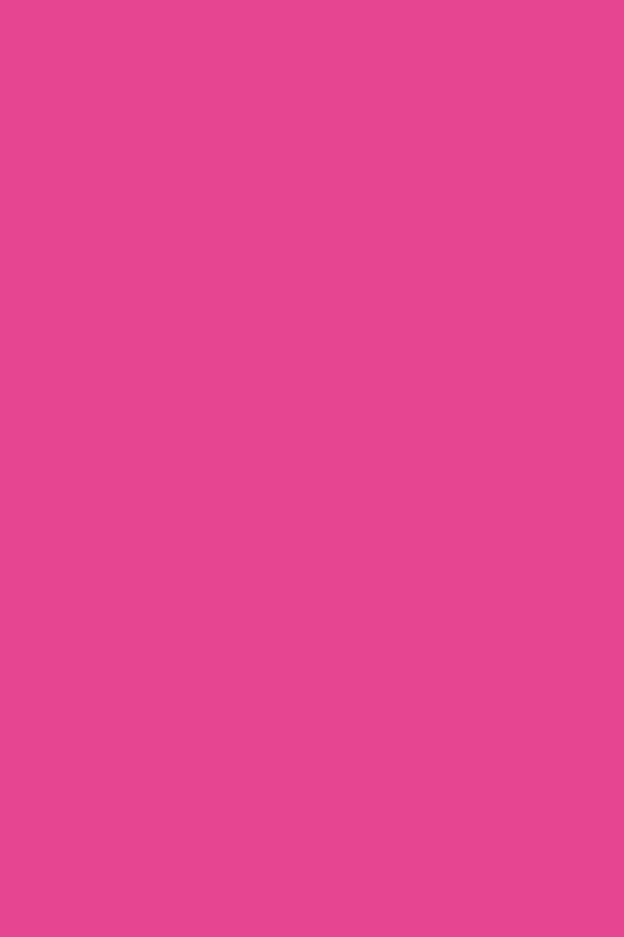 Fuchsia 190 - Lined Notebook: Wide Ruled, Soft Cover, 6 x 9 Journal, 190 Pages Lifestyle