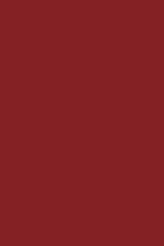 Red 190 - Lined Notebook: Wide Ruled, Soft Cover, 6 x 9 Journal, 190 Pages Lifestyle