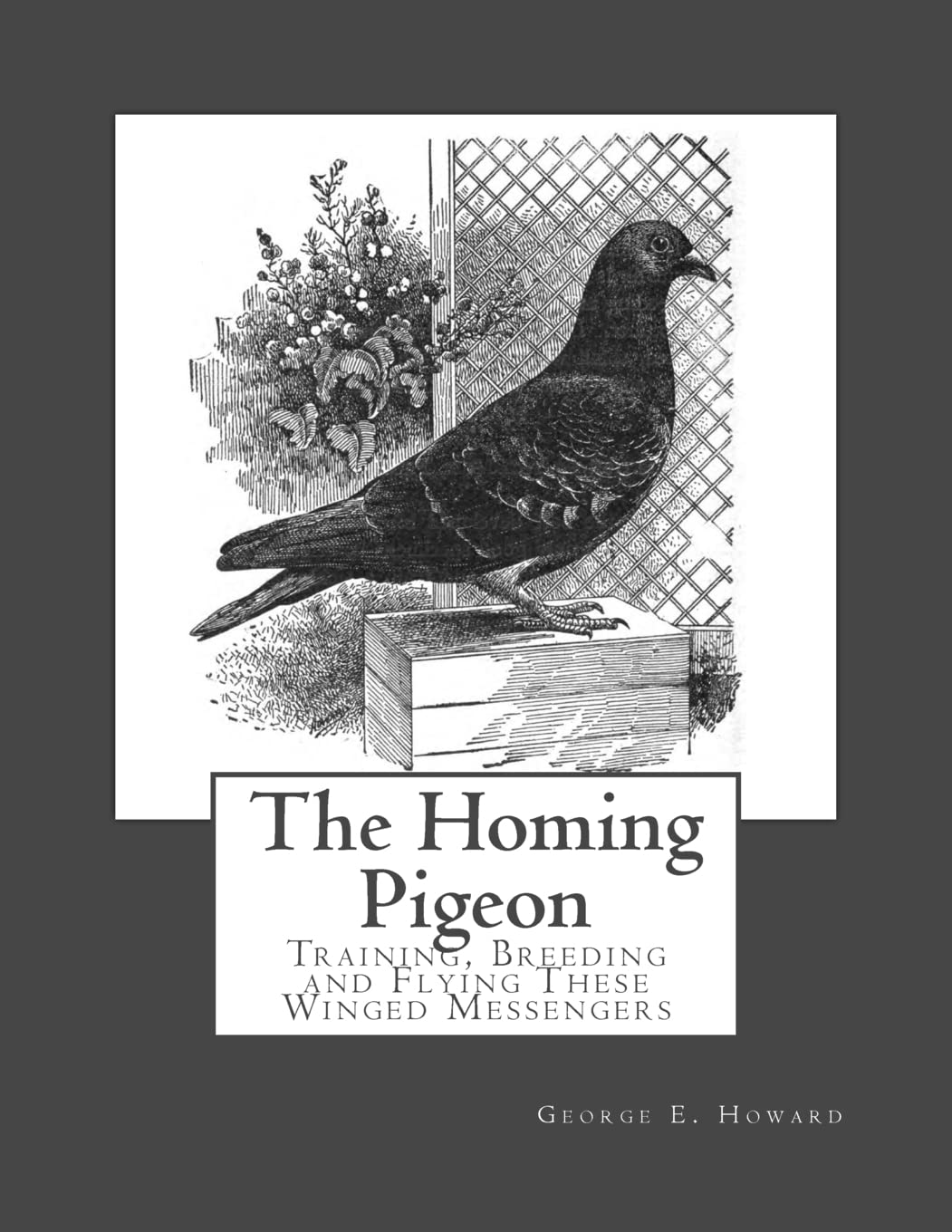 The Homing Pigeon: Training, Breeding and Flying These Winged Messengers Pets