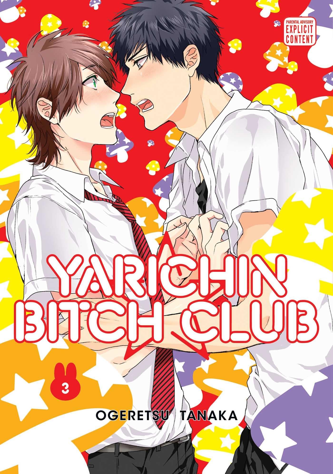 Yarichin Bitch Club, Vol. 3: Volume 3 (YARICHIN BITCH CLUB GN, Band 3) Contemporary literature
