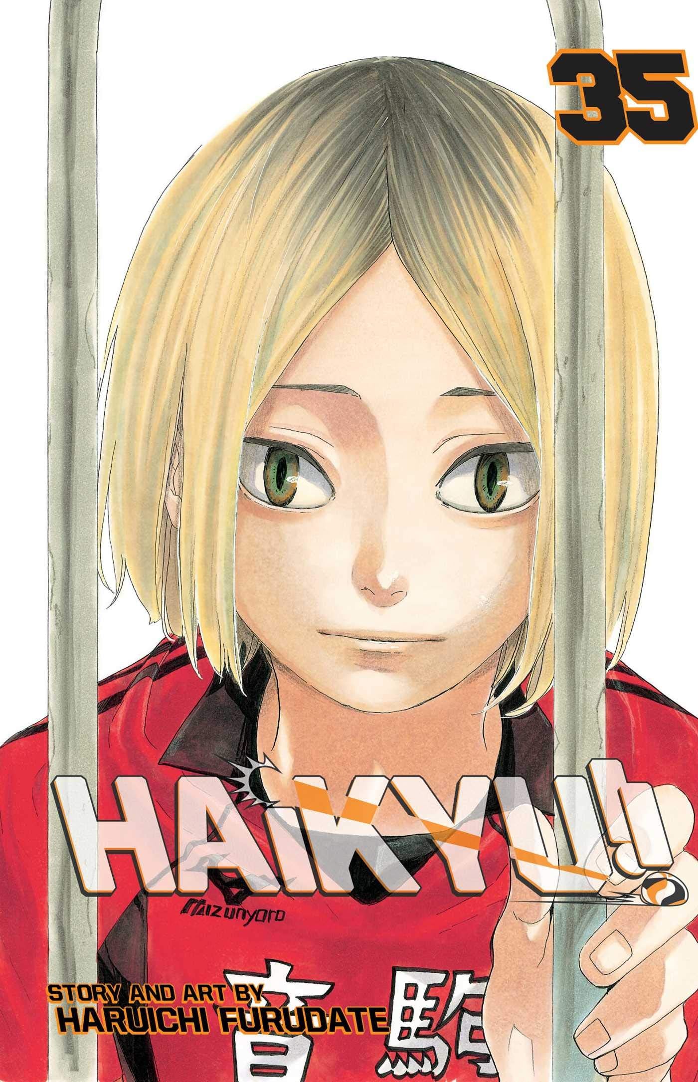 Haikyu!! , Vol. 35: Birdcage (HAIKYU GN, Band 35) book