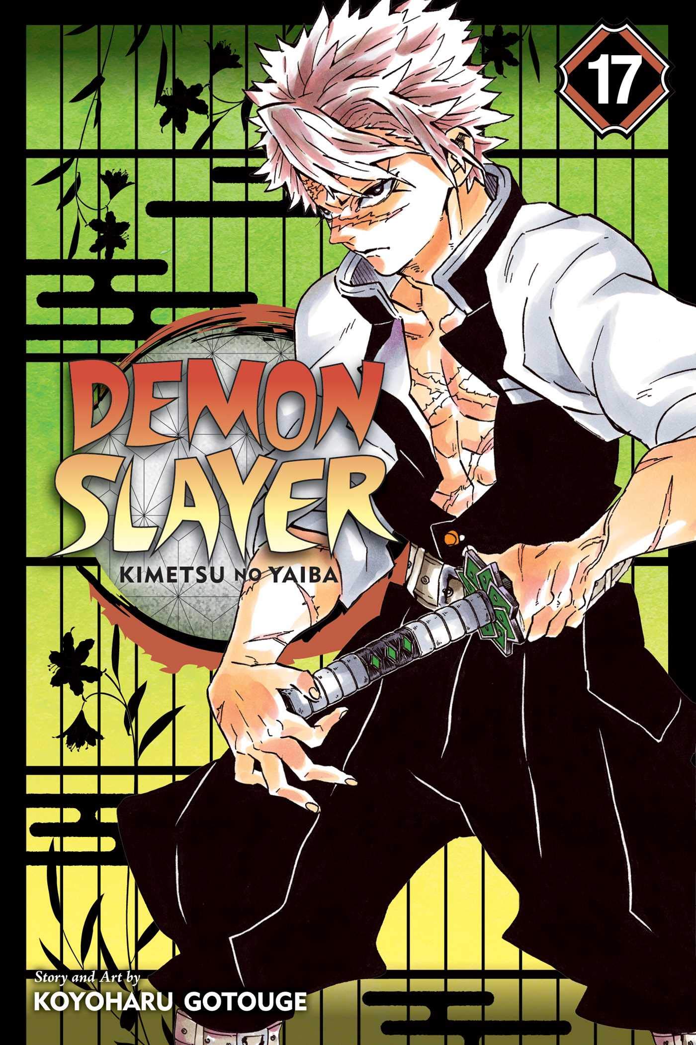 Demon Slayer: Kimetsu No Yaiba, Vol. 17 Horror & Mystery