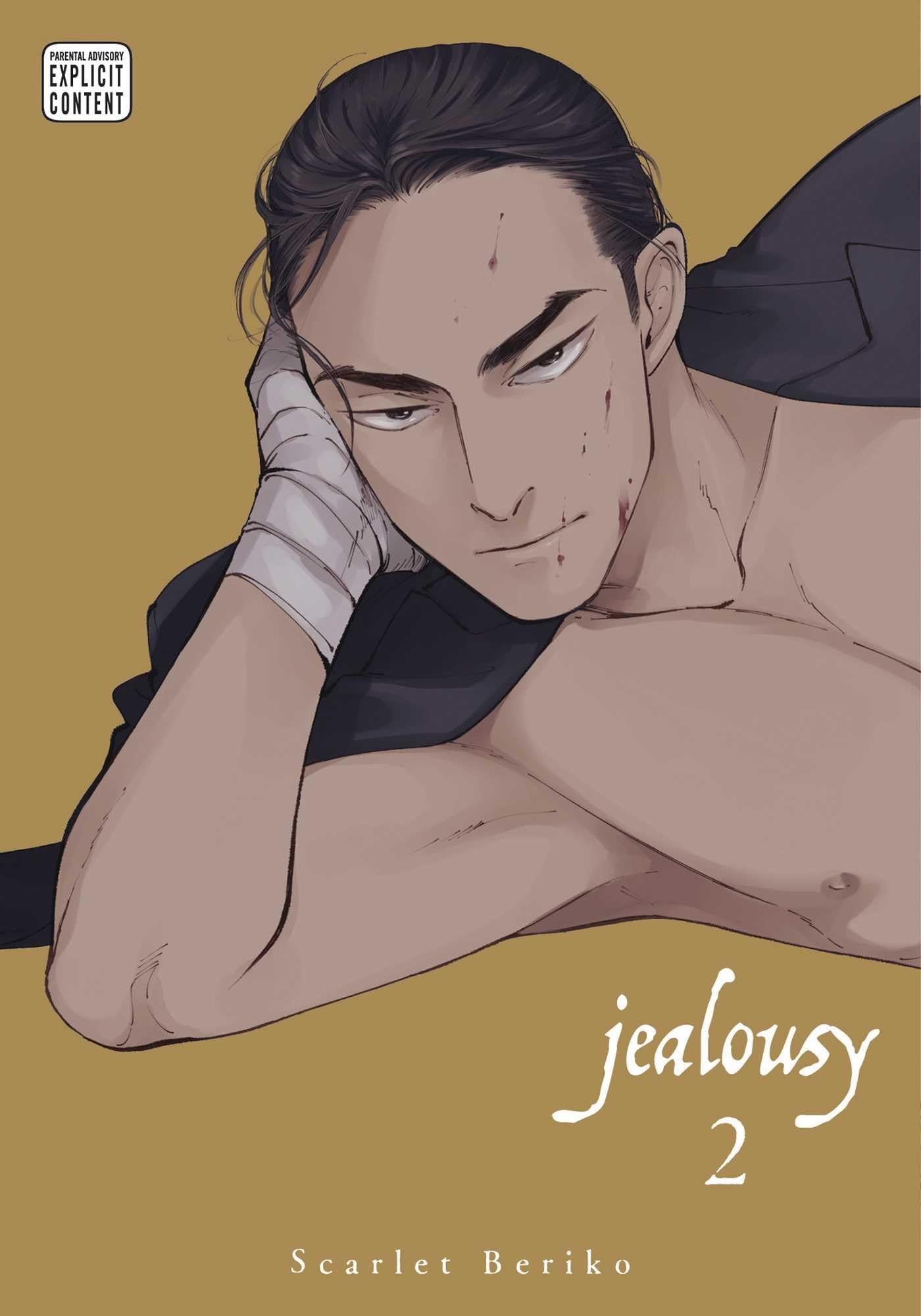 Jealousy, Vol. 2 (JEALOUSY GN, Band 2) Manga