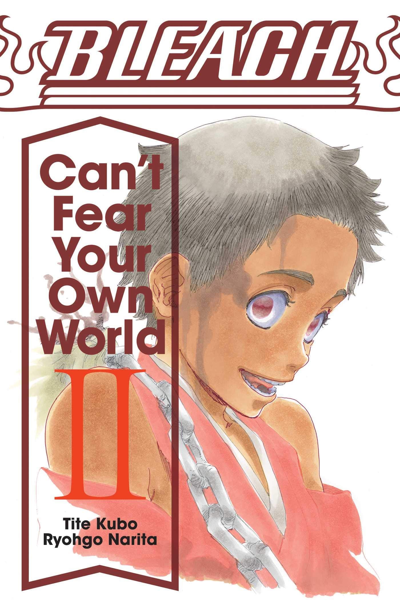 Bleach: Can't Fear Your Own World, Vol. 2 (BLEACH CANT FEAR YOUR OWN WORLD LIGHT NOVEL SC, Band 2) Contemporary literature