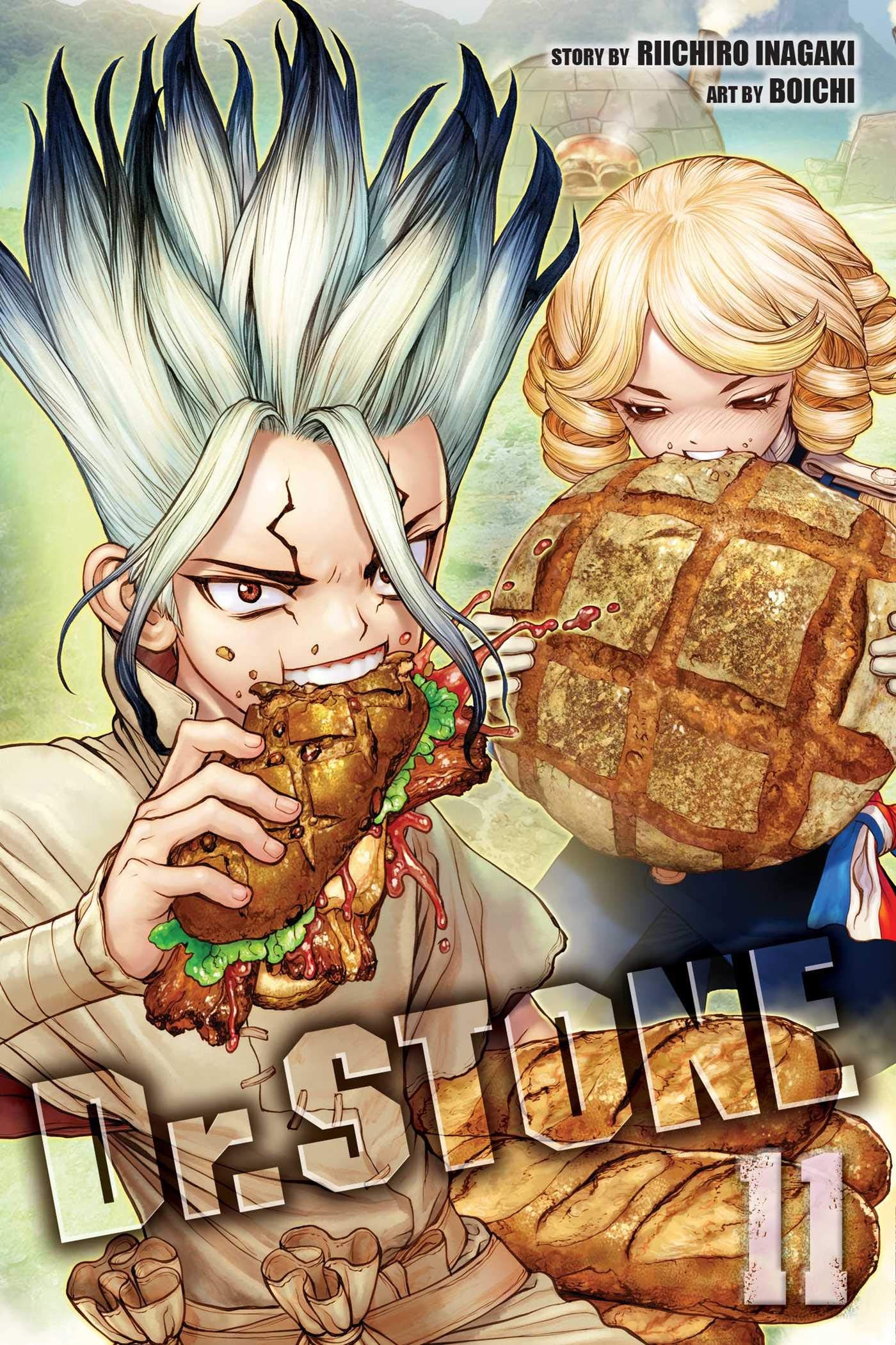 Dr. Stone, Vol. 11: Volume 11 (DR STONE GN, Band 11) Manga