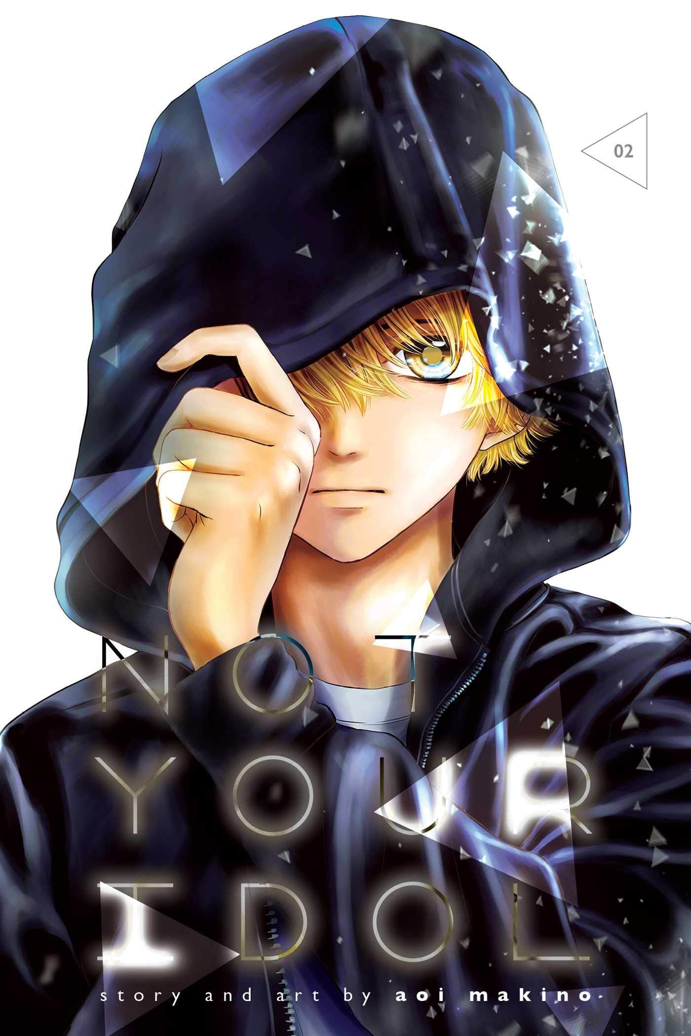 Not Your Idol, Vol. 2 (NOT YOUR IDOL GN, Band 2) Manga