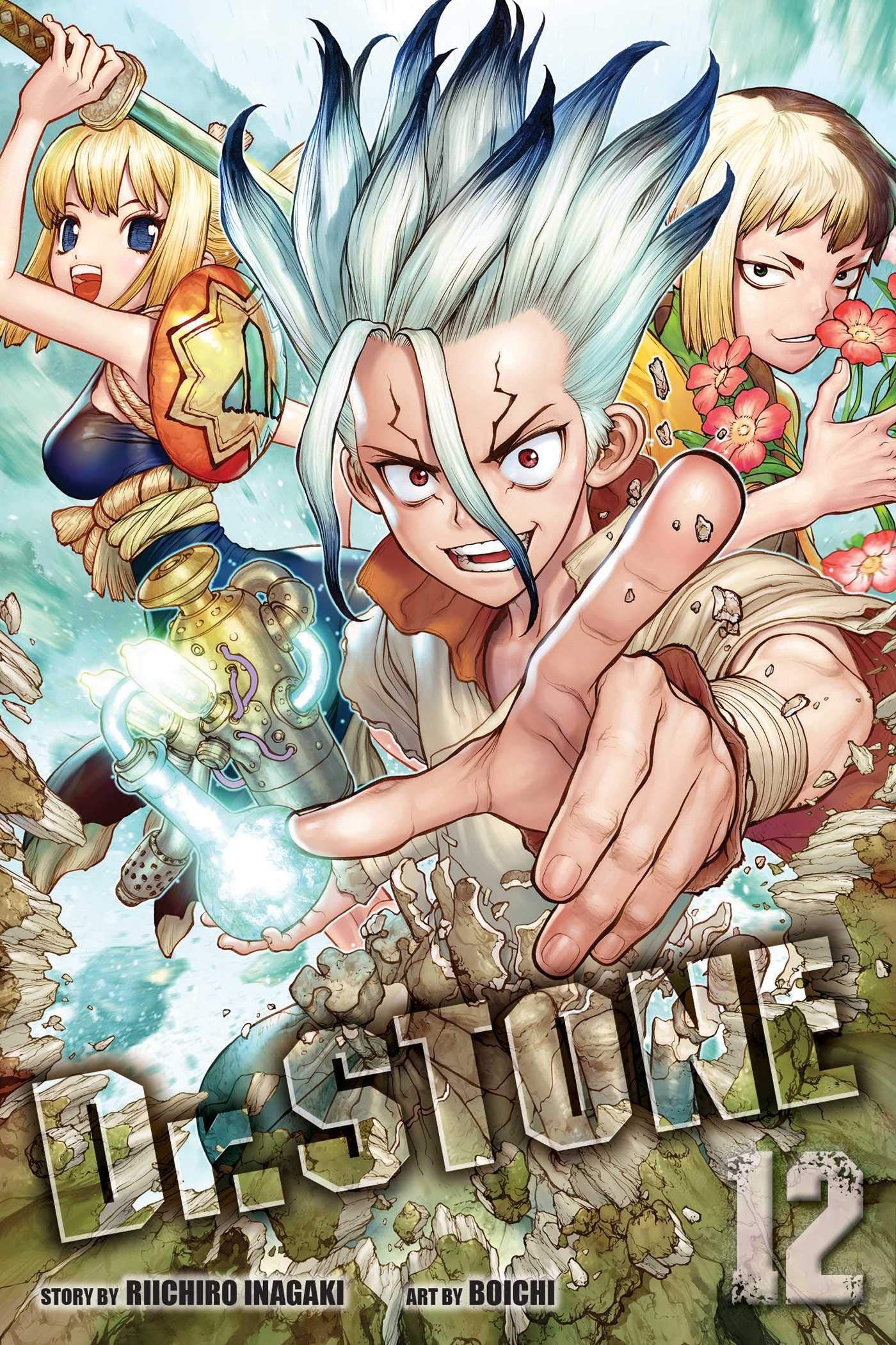 Dr. Stone, Vol. 12: Volume 12 (DR STONE GN, Band 12) Manga