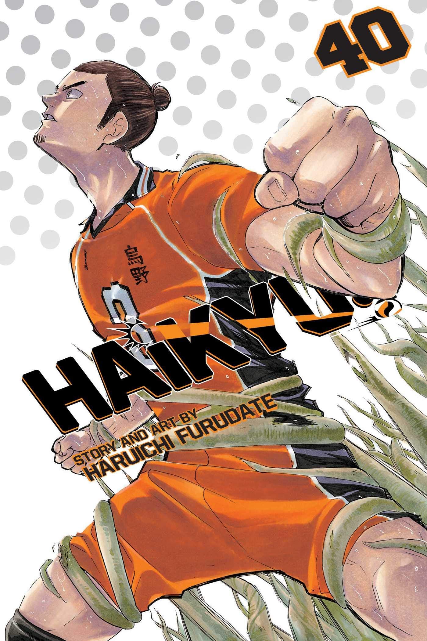 Haikyu!!, Vol 40 (HAIKYU GN, Band 40) book