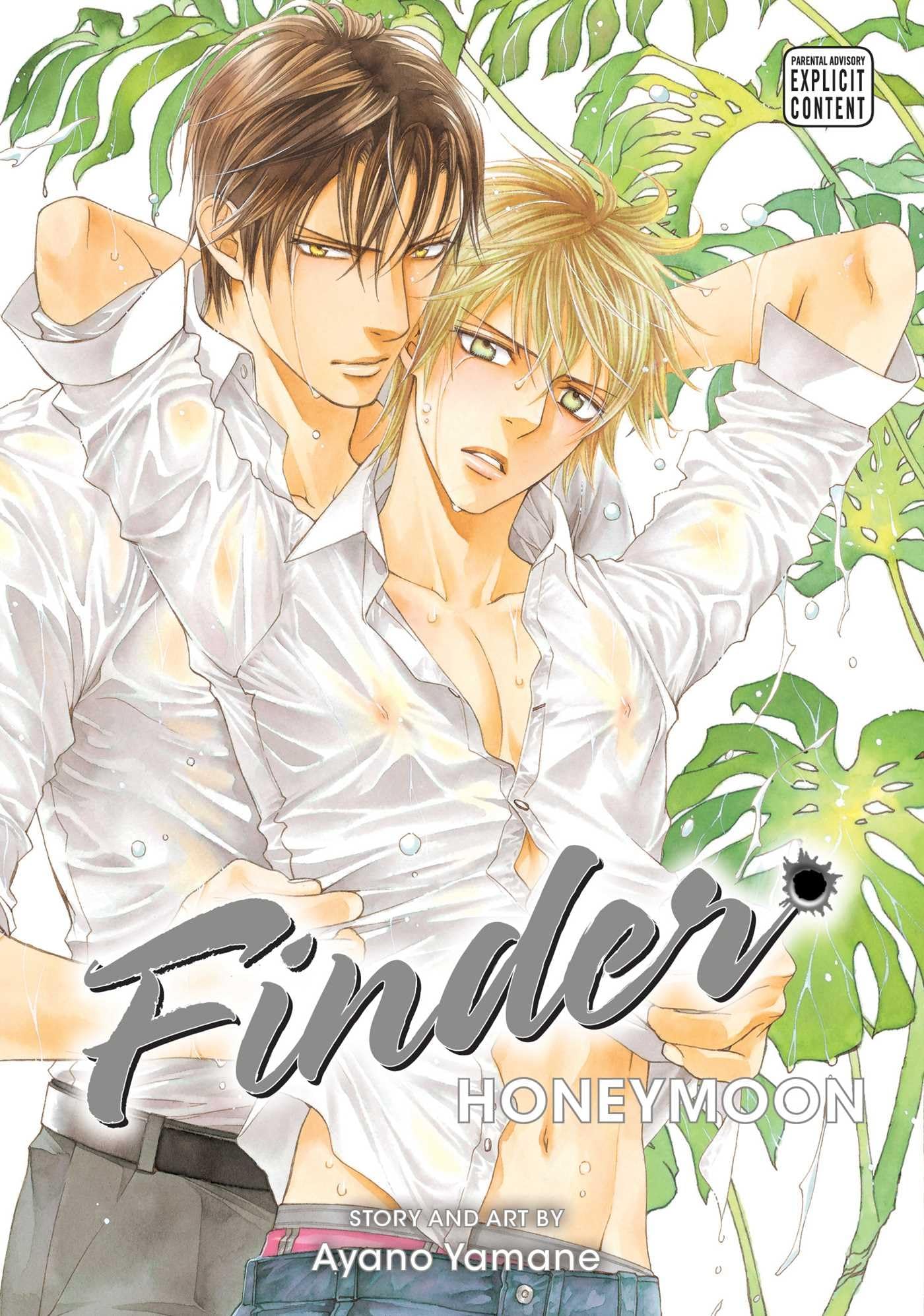 Finder Deluxe Edition: Honeymoon, Vol. 10 Manga