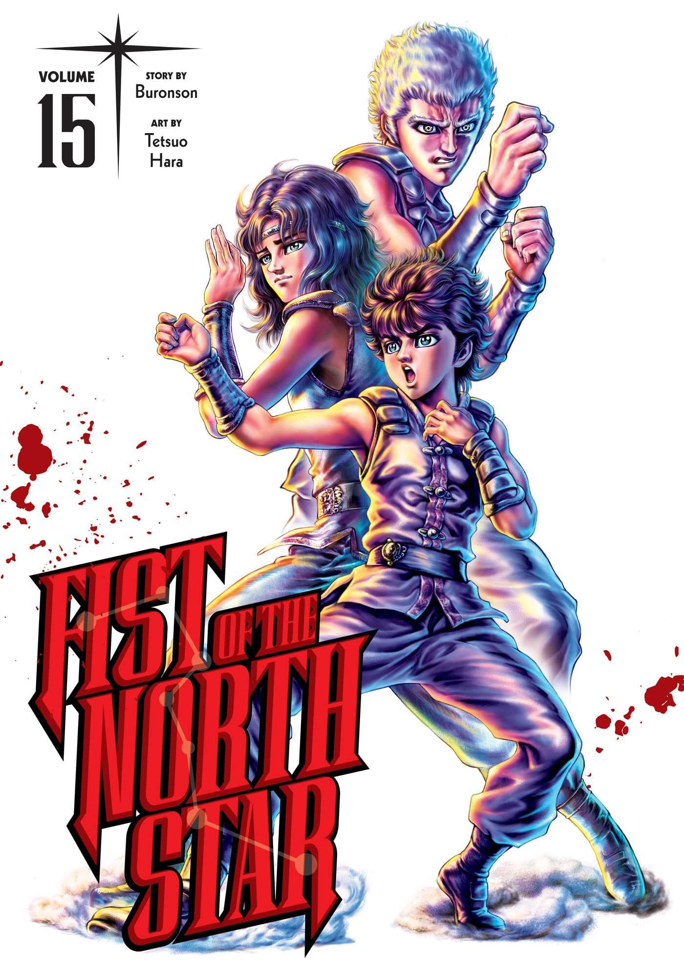 Fist of the North Star, Vol. 15 (FIST OF THE NORTH STAR HC, Band 15) Action & Adventure