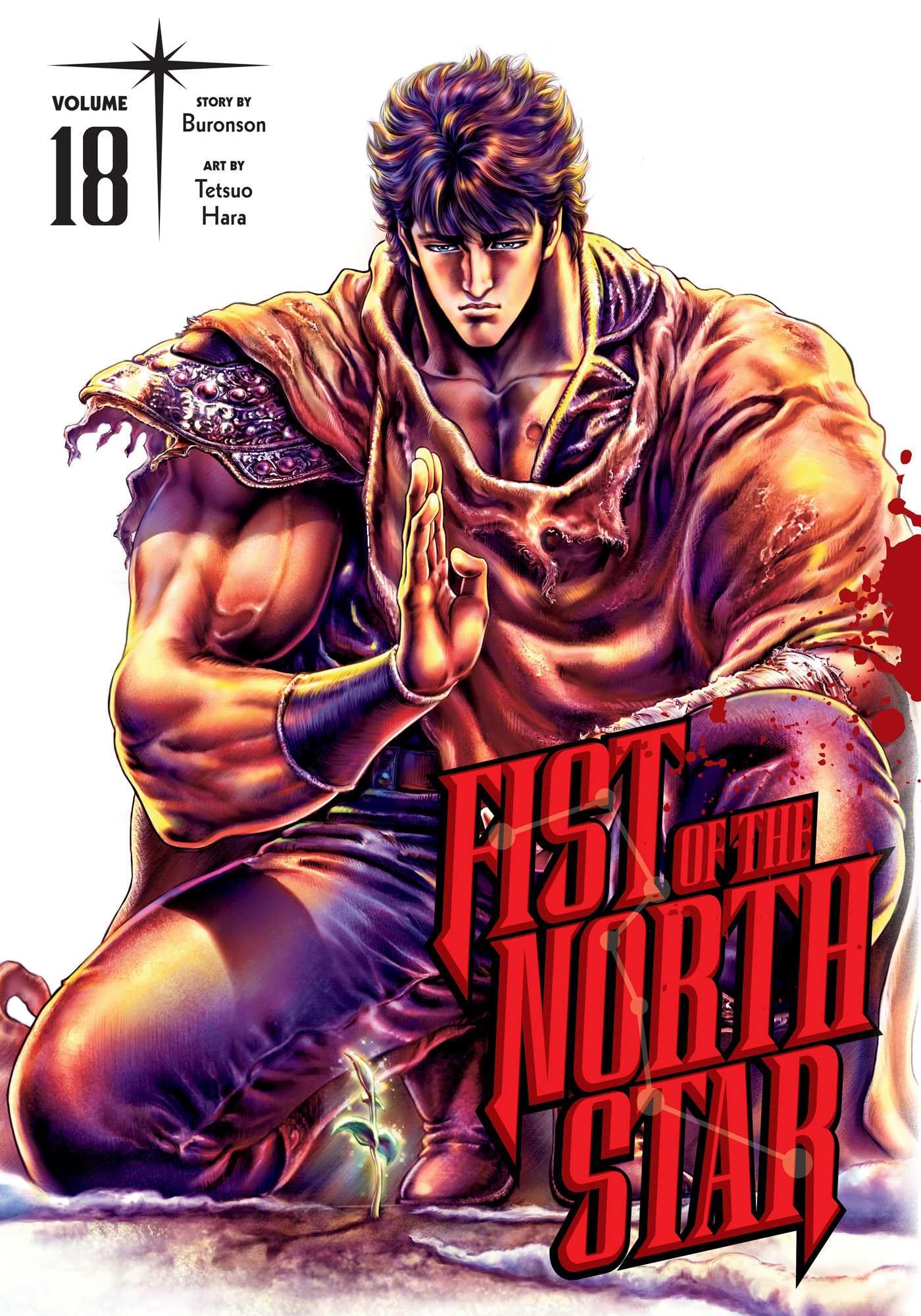 Fist of the North Star, Vol. 18 Action & Adventure