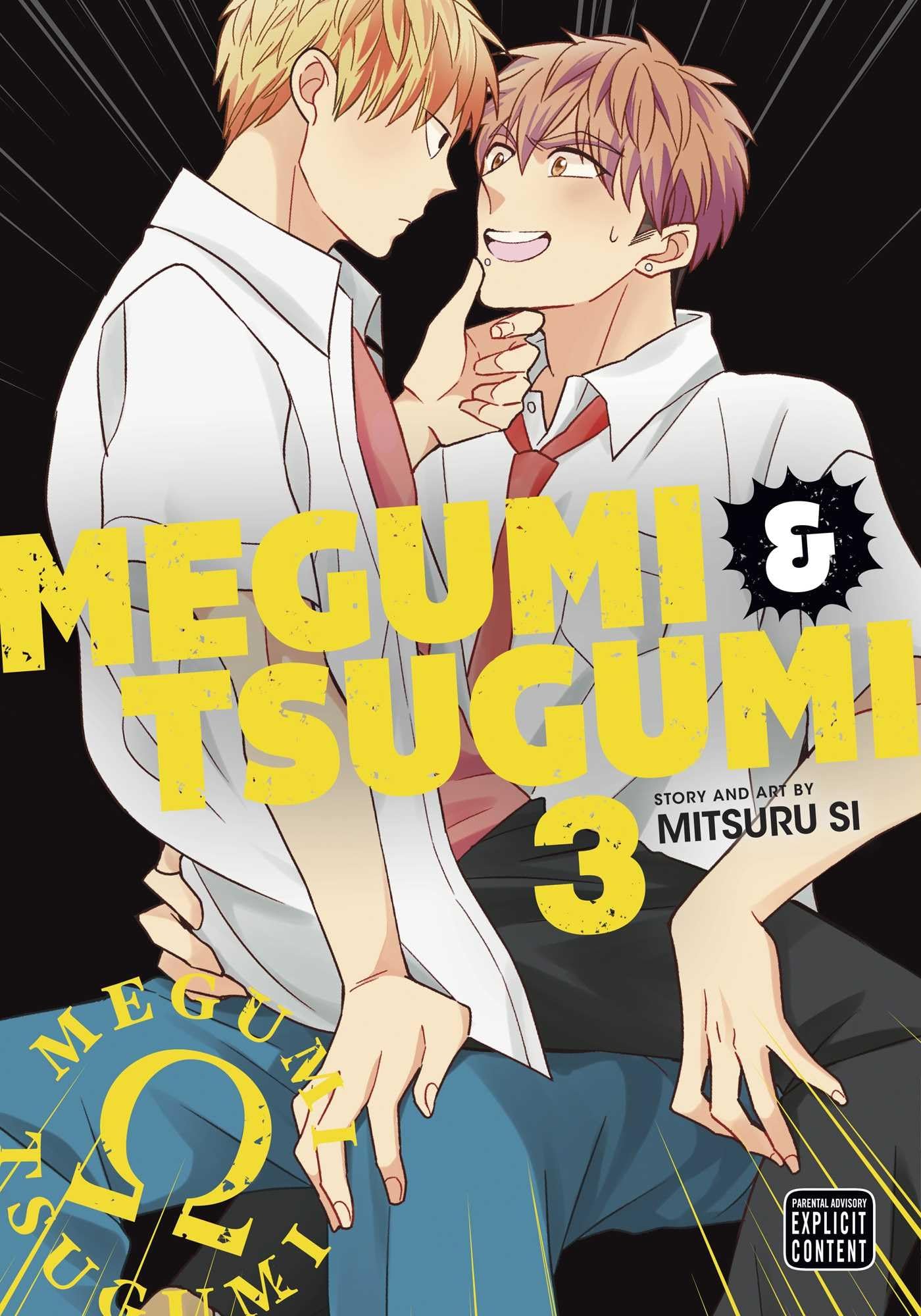 Megumi & Tsugumi, Vol. 3 (MEGUMI & TSUGUMI GN, Band 3) Manga