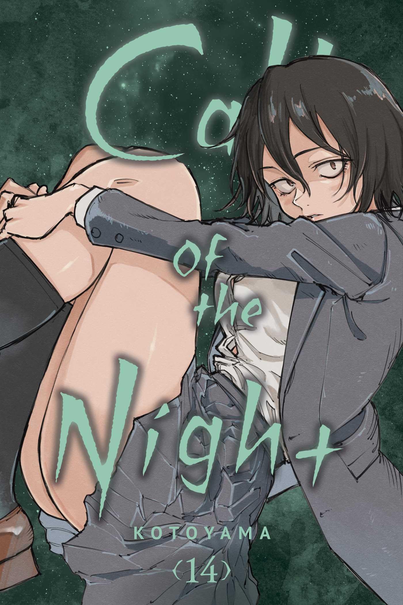 Call of the Night, Vol. 14 (CALL OF THE NIGHT GN, Band 14) Horror & Mystery