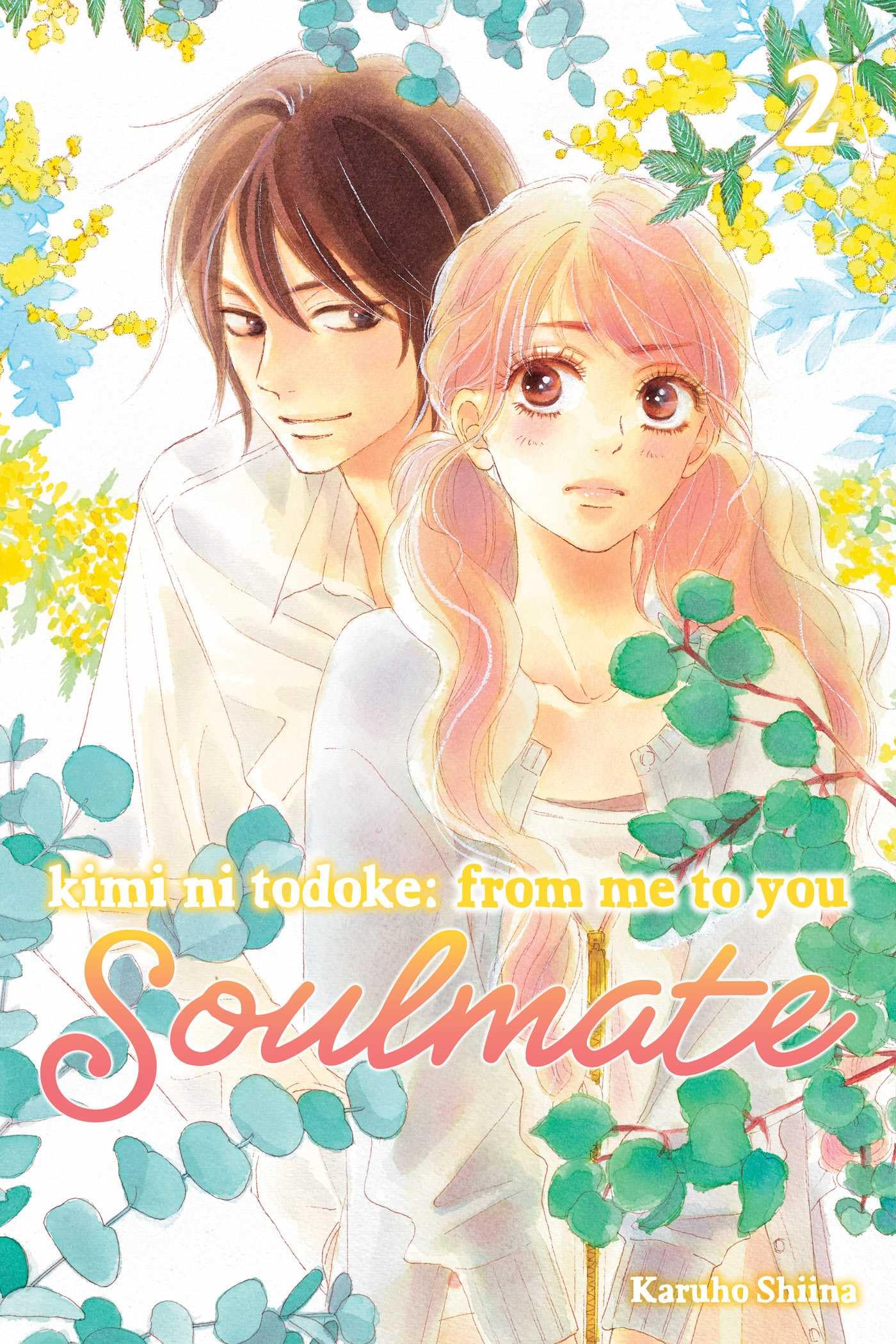 Kimi Ni Todoke: From Me to You: Soulmate, Vol. 2 Manga