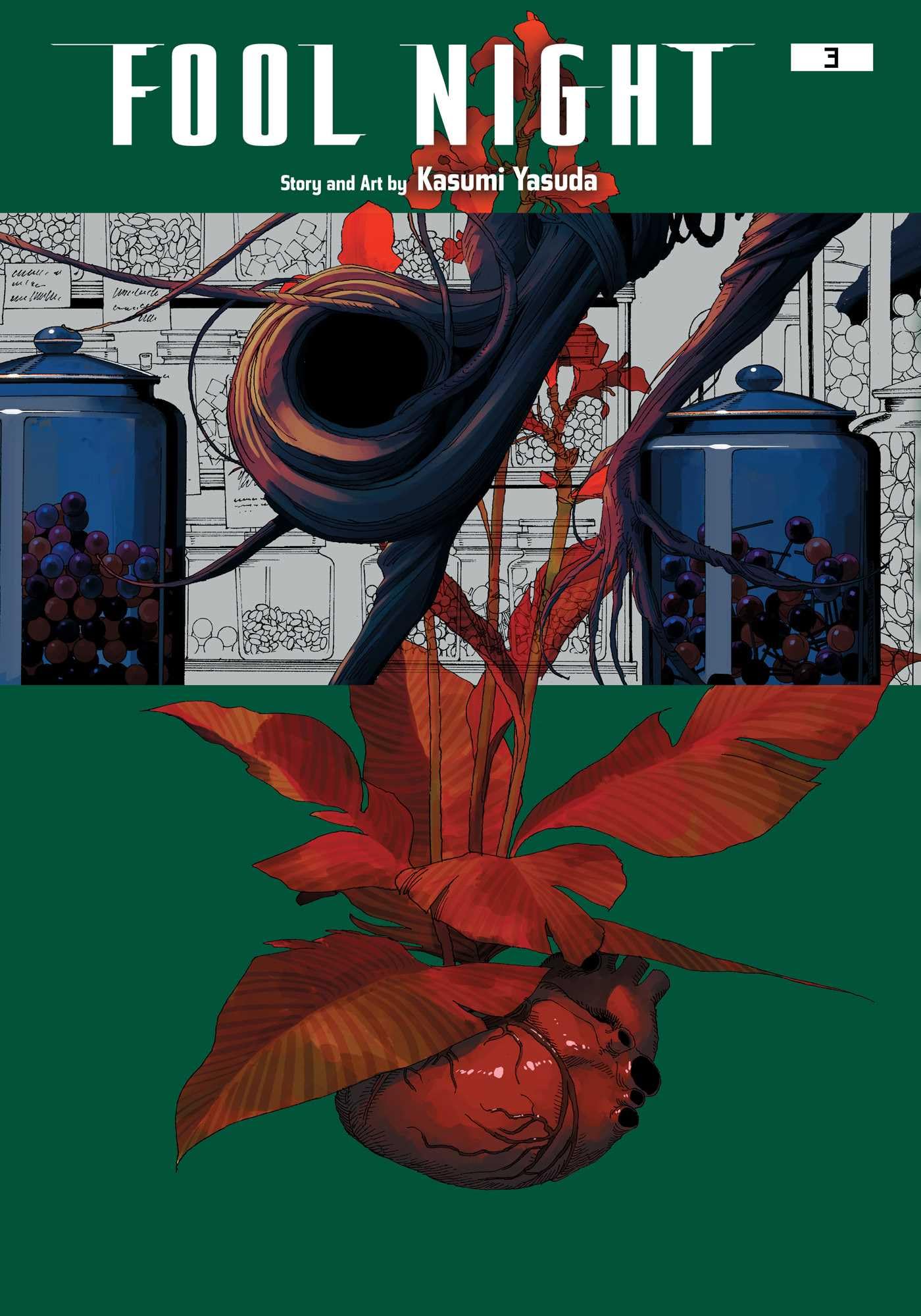 Fool Night, Vol. 3 (FOOL NIGHT GN, Band 3) Horror & Mystery
