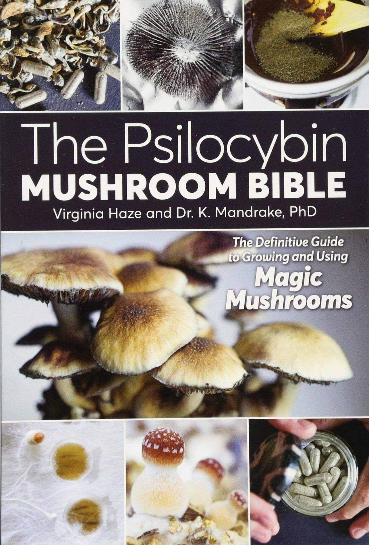 The Psilocybin Mushroom Bible: The Definitive Guide to Growing and Using Magic Mushrooms Books