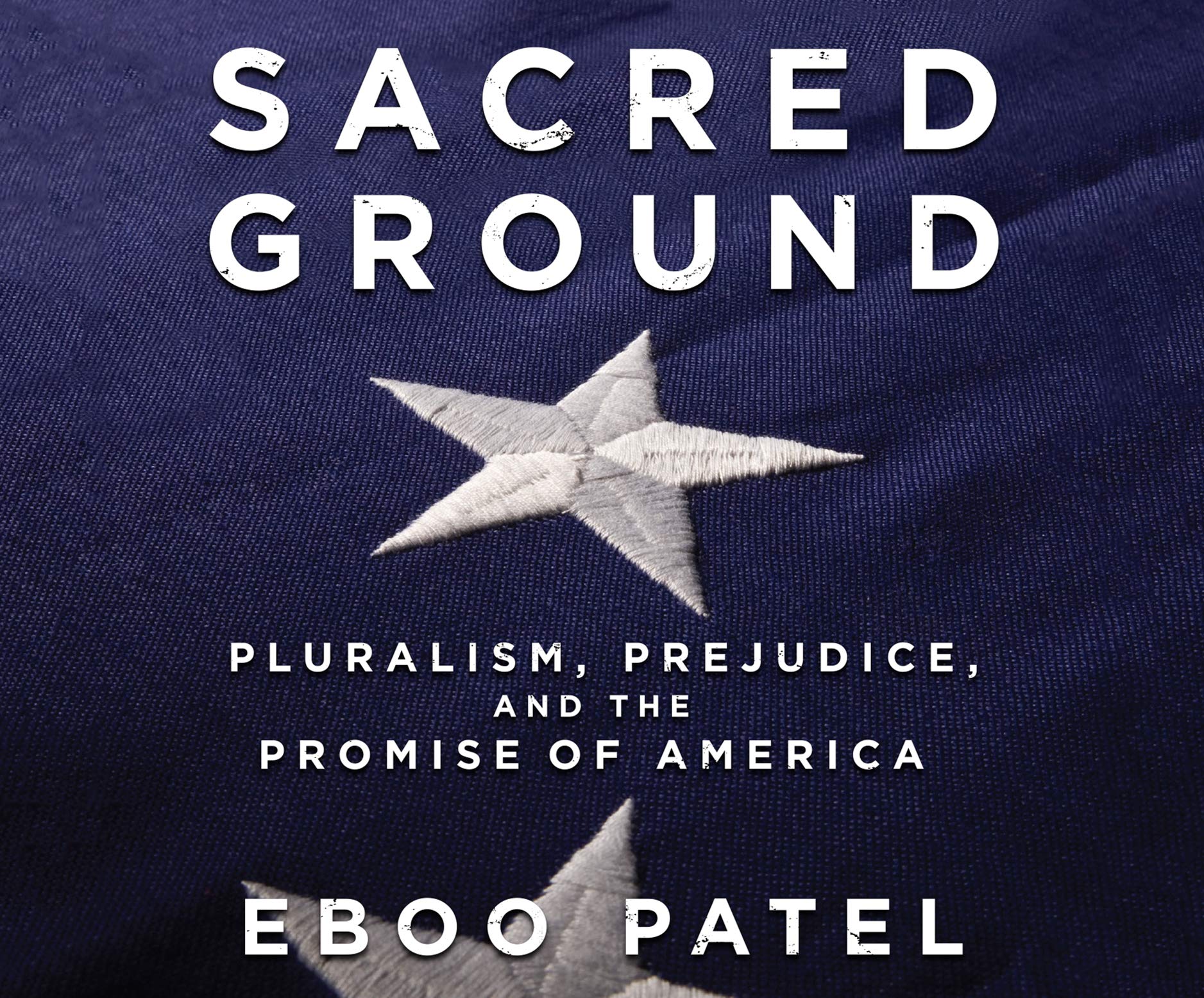 Sacred Ground: Pluralism, Prejudice, and the Promise of America Social Sciences