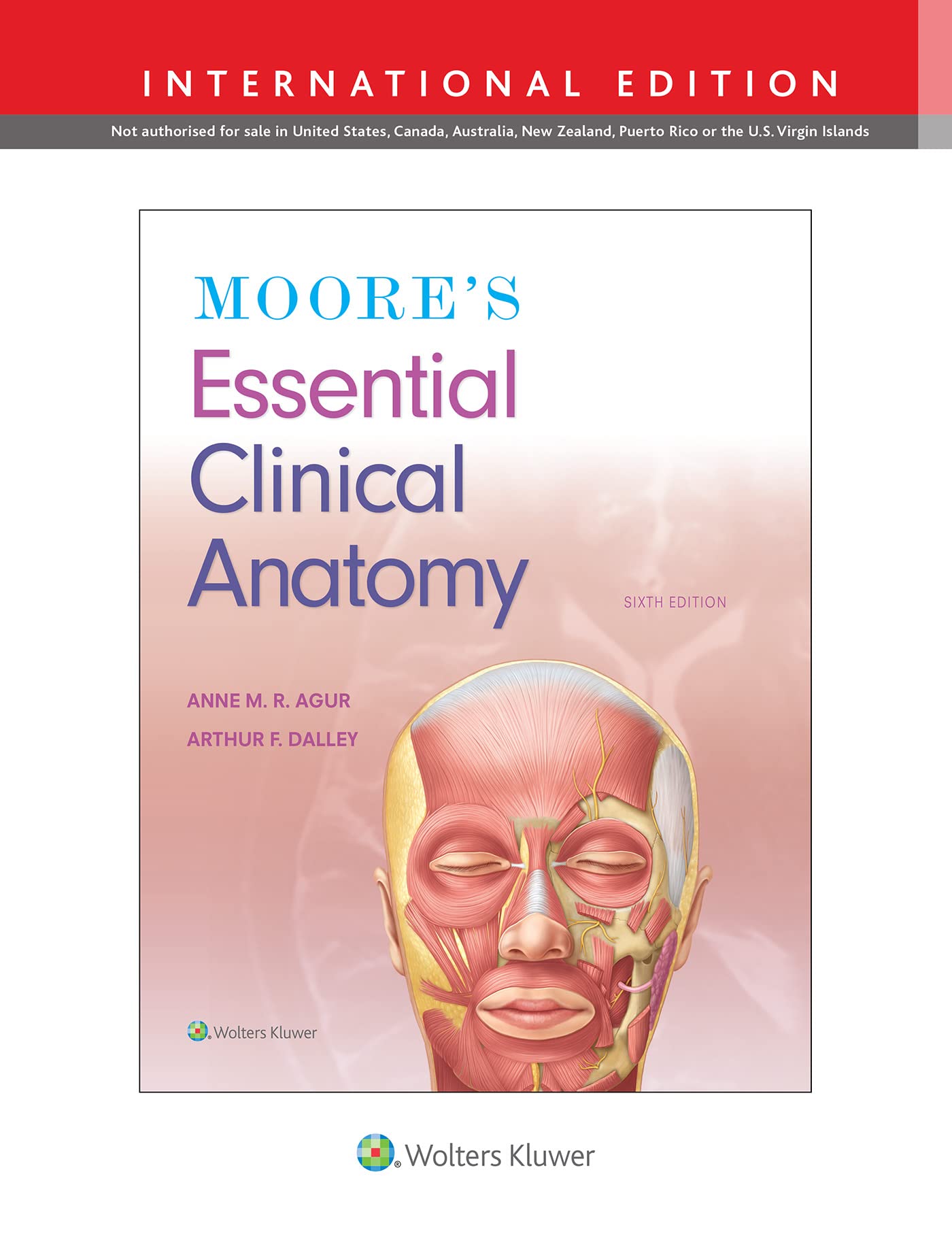 Moore's Essential Clinical Anatomy Medicine