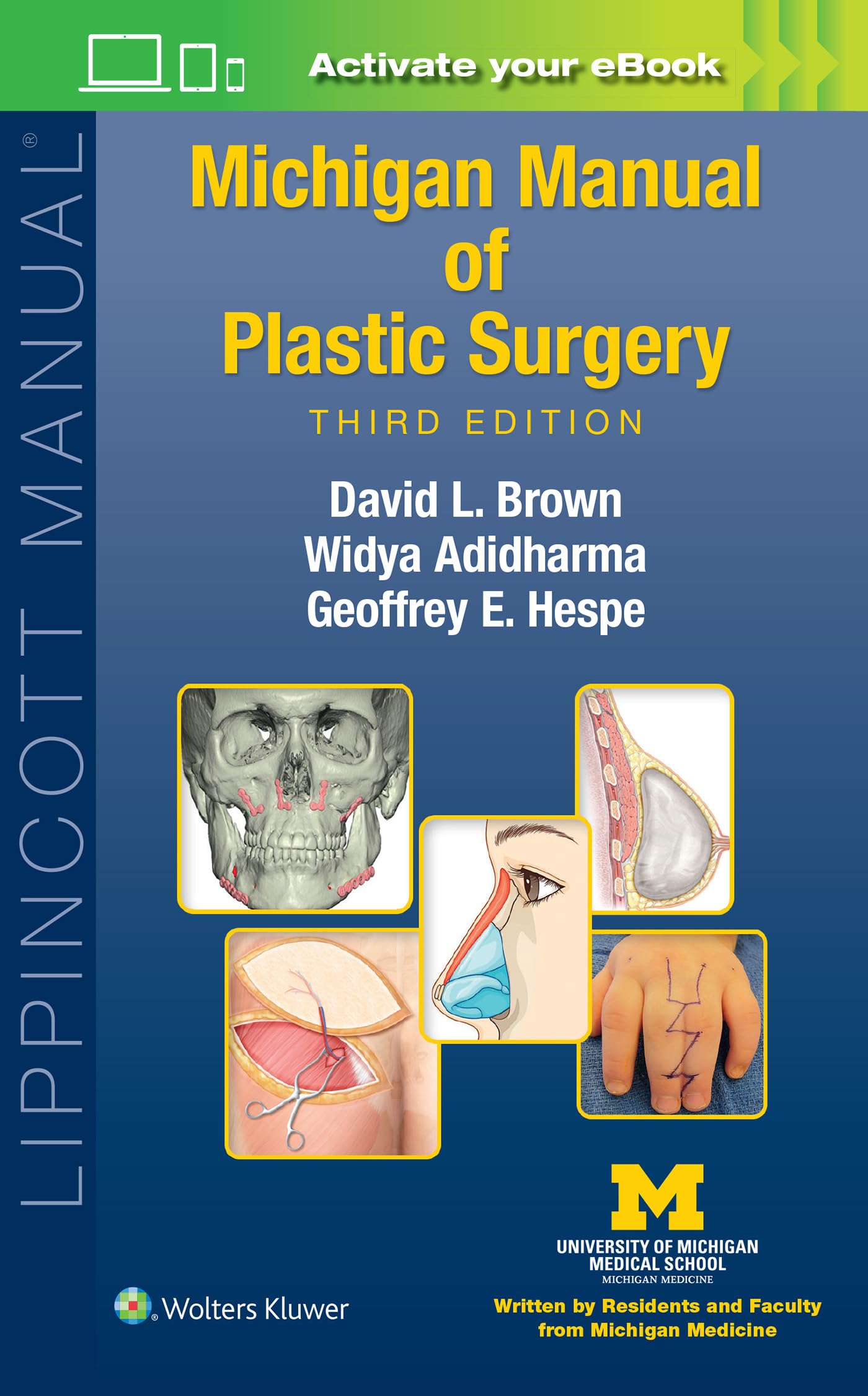 Michigan Manual of Plastic Surgery Medicine