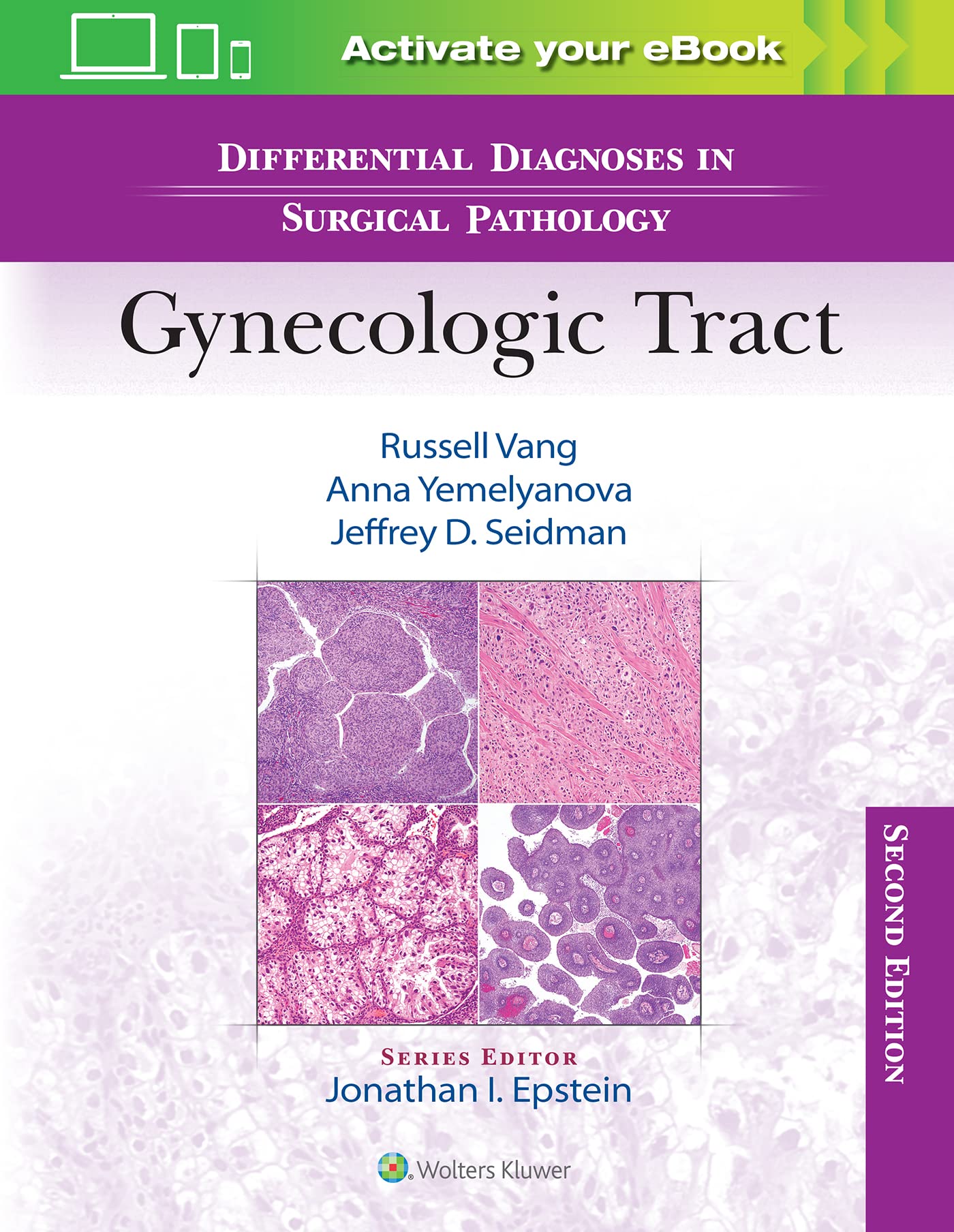 Gynecologic Tract (Differential Diagnoses in Surgical Pathology) Medicine