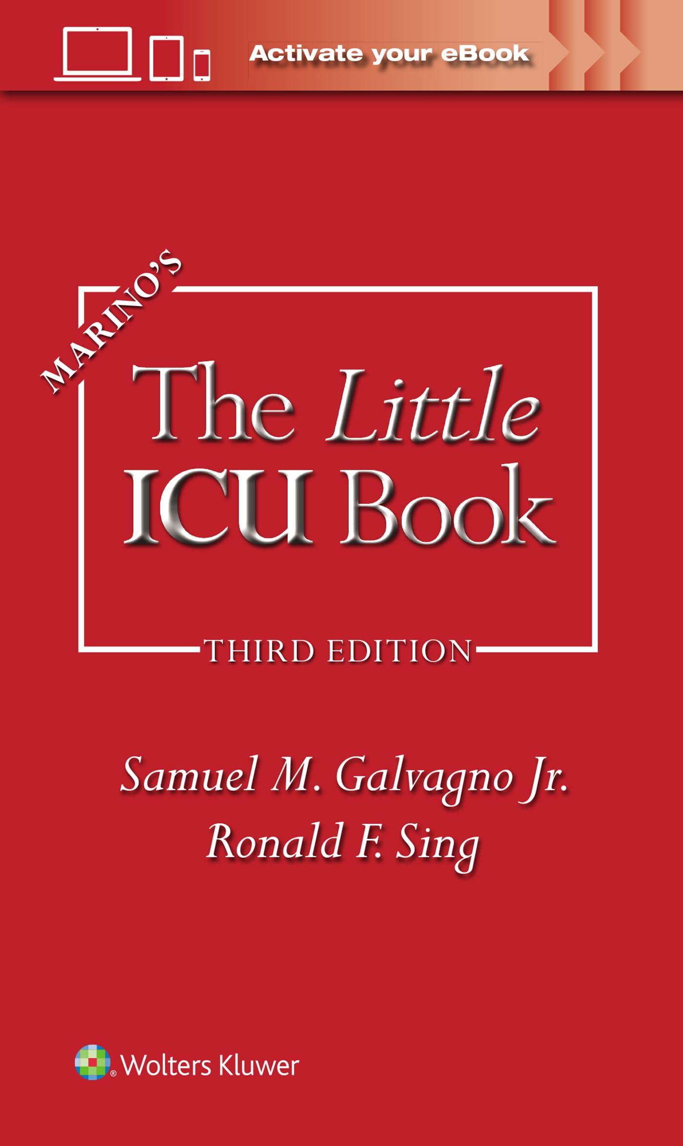 Marino's the Little ICU Book Medicine