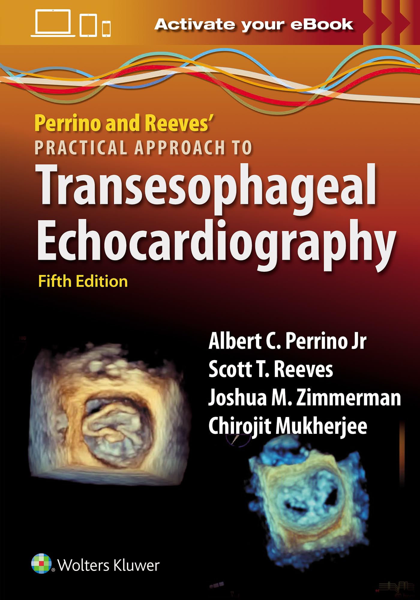 Perrino and Reeves' Practical Approach to Transesophageal Echocardiography Medicine