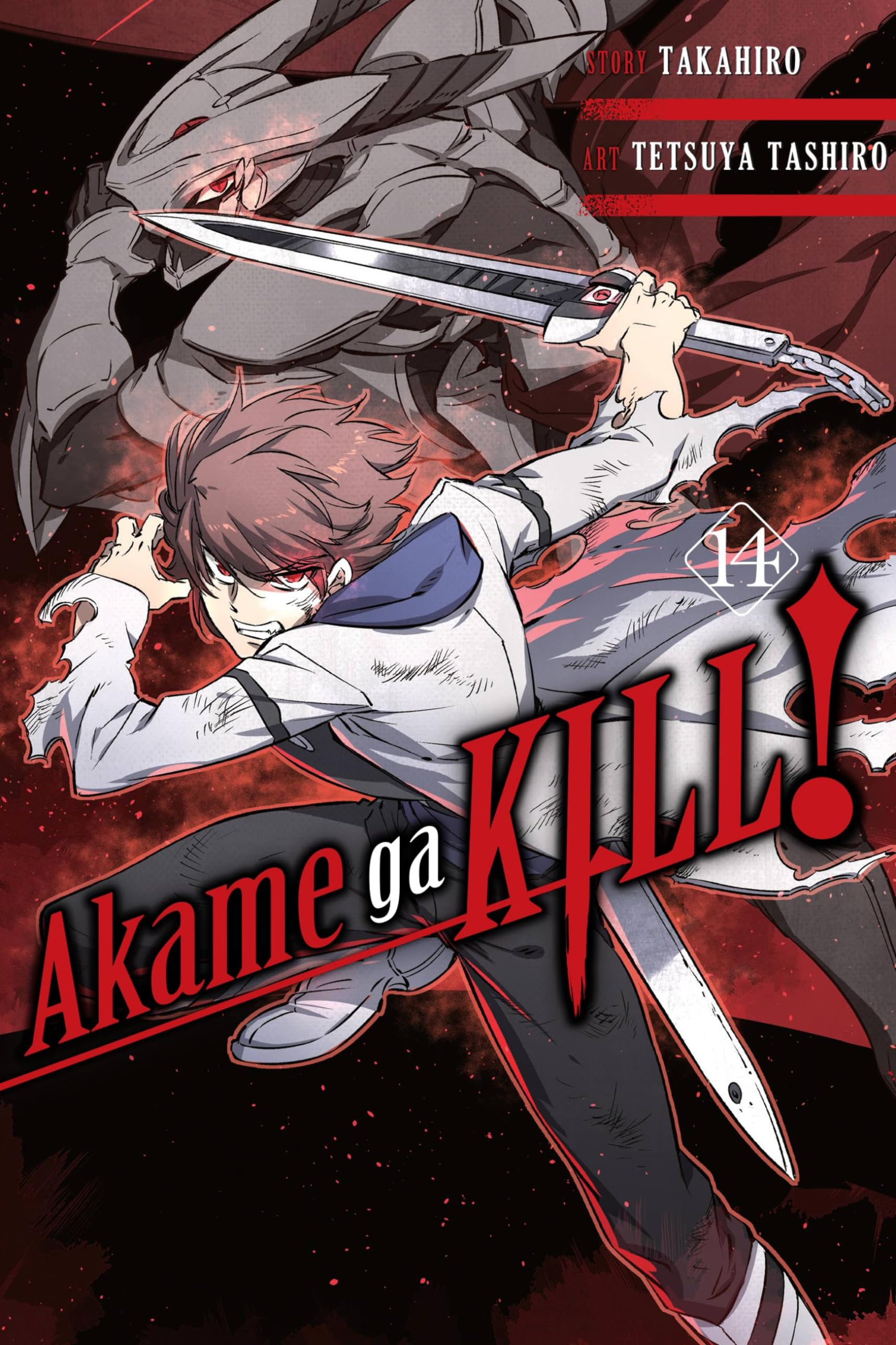 Akame ga Kill!, Vol. 14: Volume 14 (AKAME GA KILL GN, Band 14) Manga