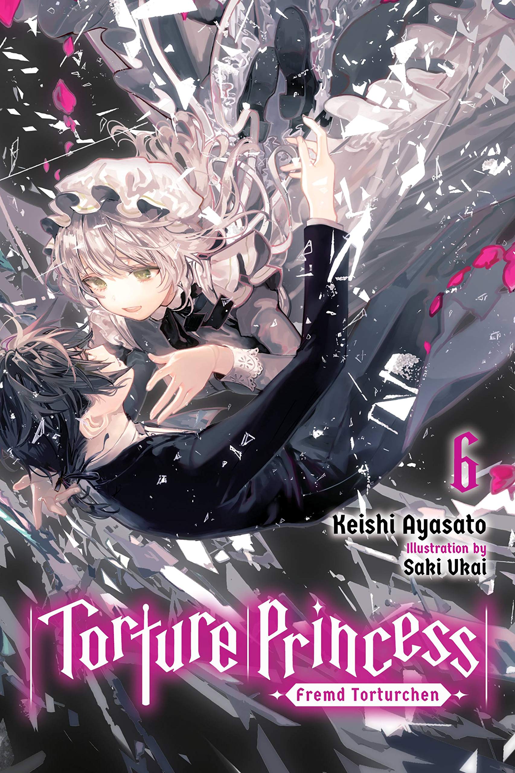 Torture Princess: Fremd Torturchen, Vol. 6 (light novel): Volume 6 (TORTURE PRINCESS FREMD TORTURCHEN NOVEL SC, Band 6) Dark Fantasy