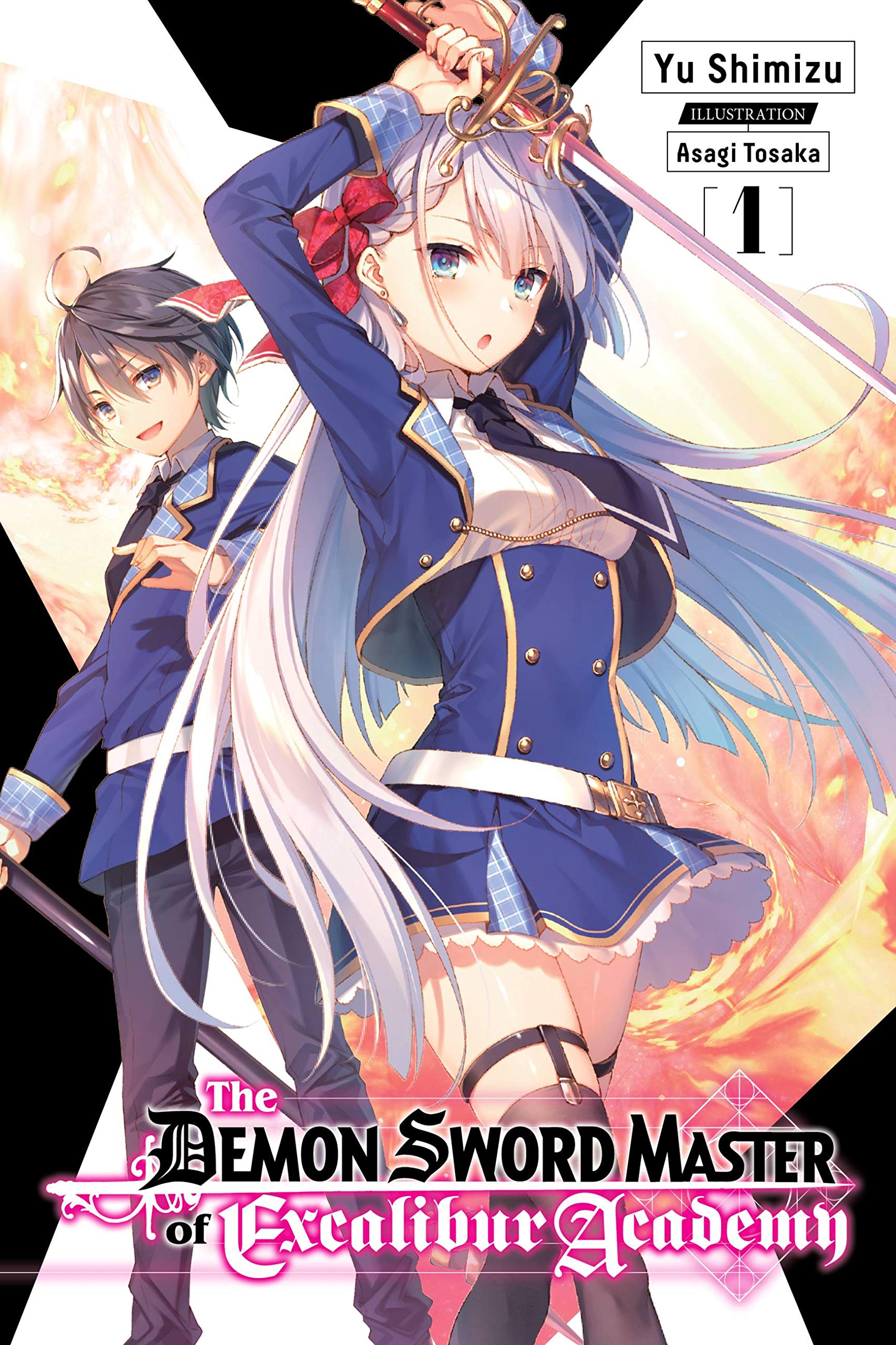 The Demon Sword Master of Excalibur Academy, Vol. 1 (light novel): Volume 1 (DEMON SWORD MASTER EXCALIBUR ACADEMY NOVEL SC, Band 1) book