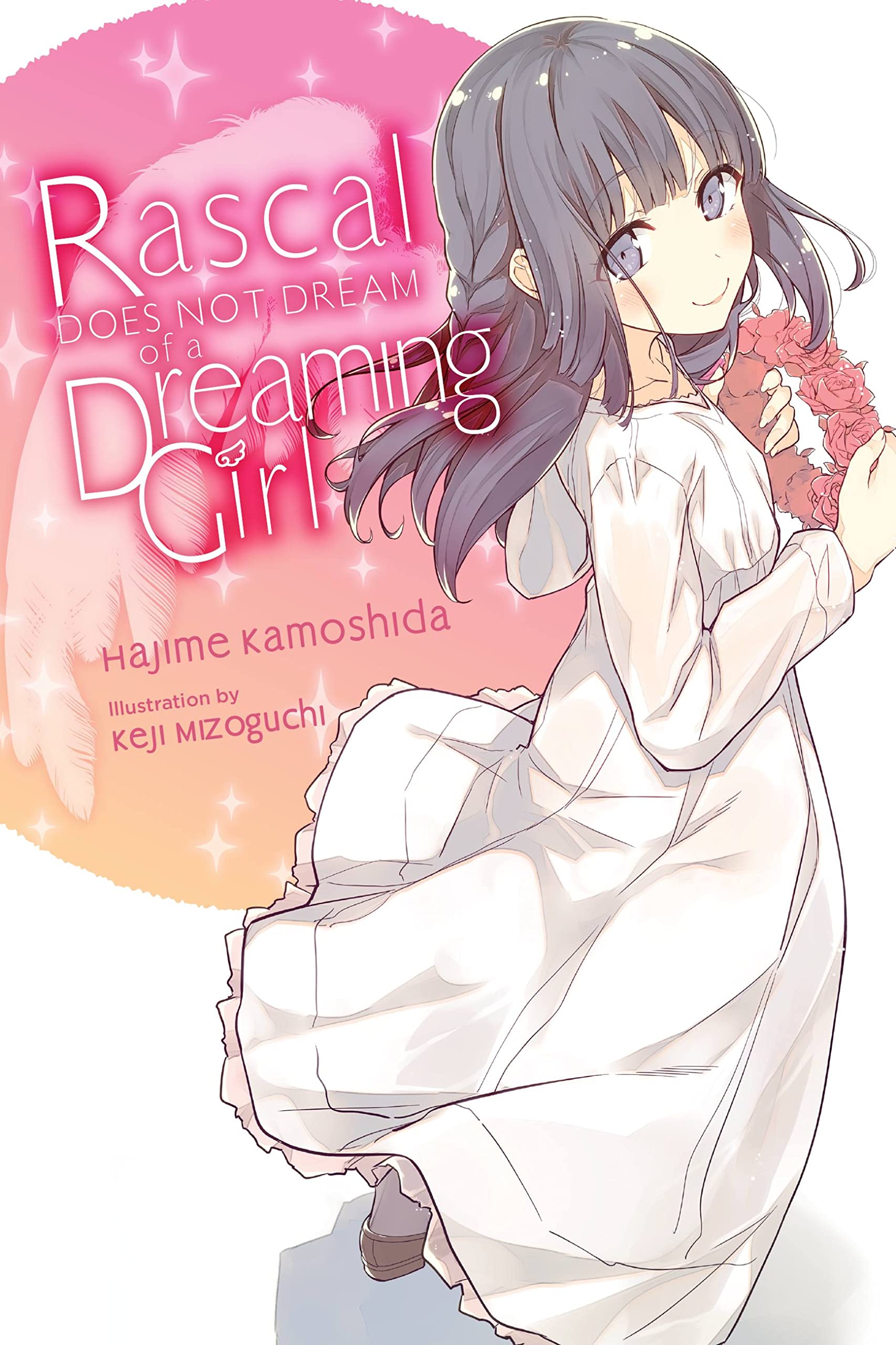 Rascal Does Not Dream of a Dreaming Girl (light novel): Volume 6 (Rascal Does Not Dream, 6) Contemporary literature