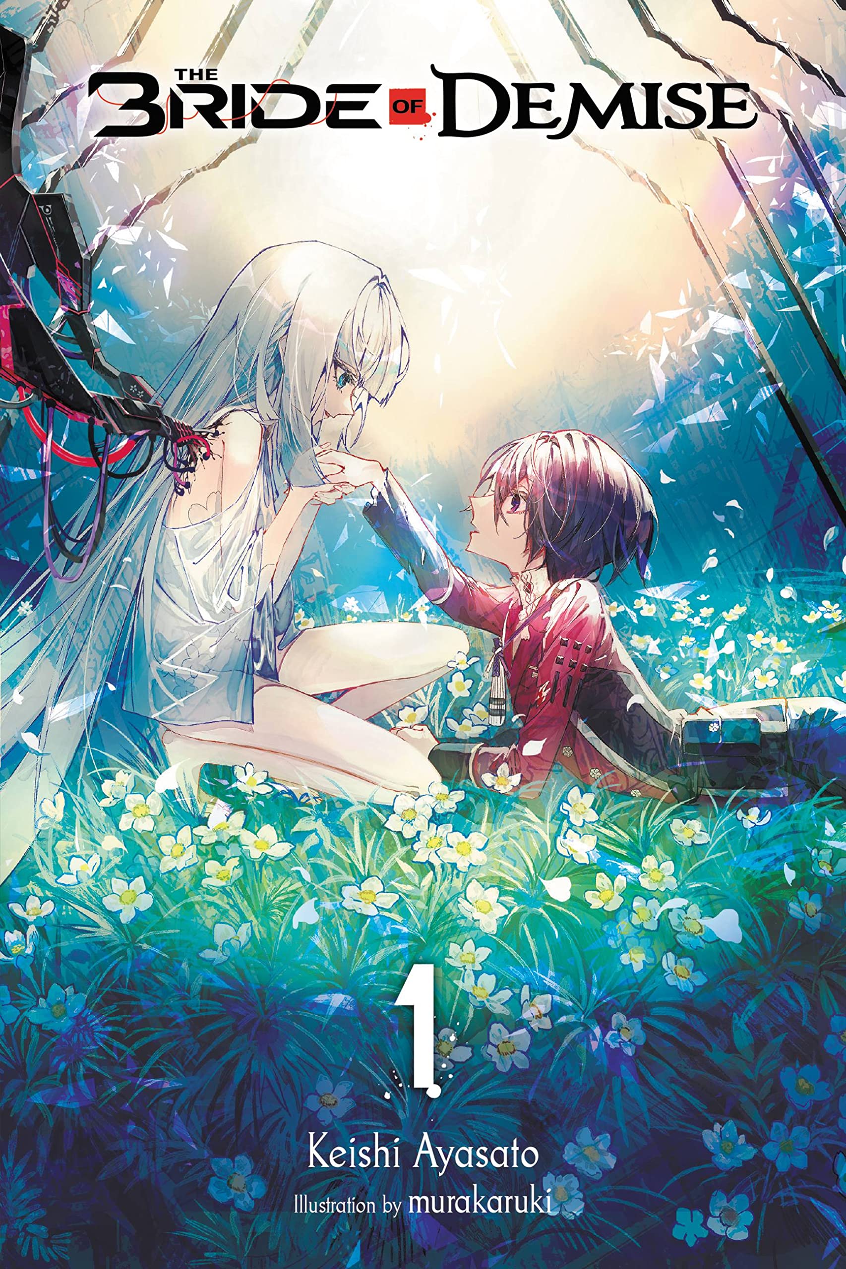 The Bride of Demise, Vol. 1: Volume 1 (BRIDE OF DEMISE LIGHT NOVEL SC, Band 1) Dark Fantasy