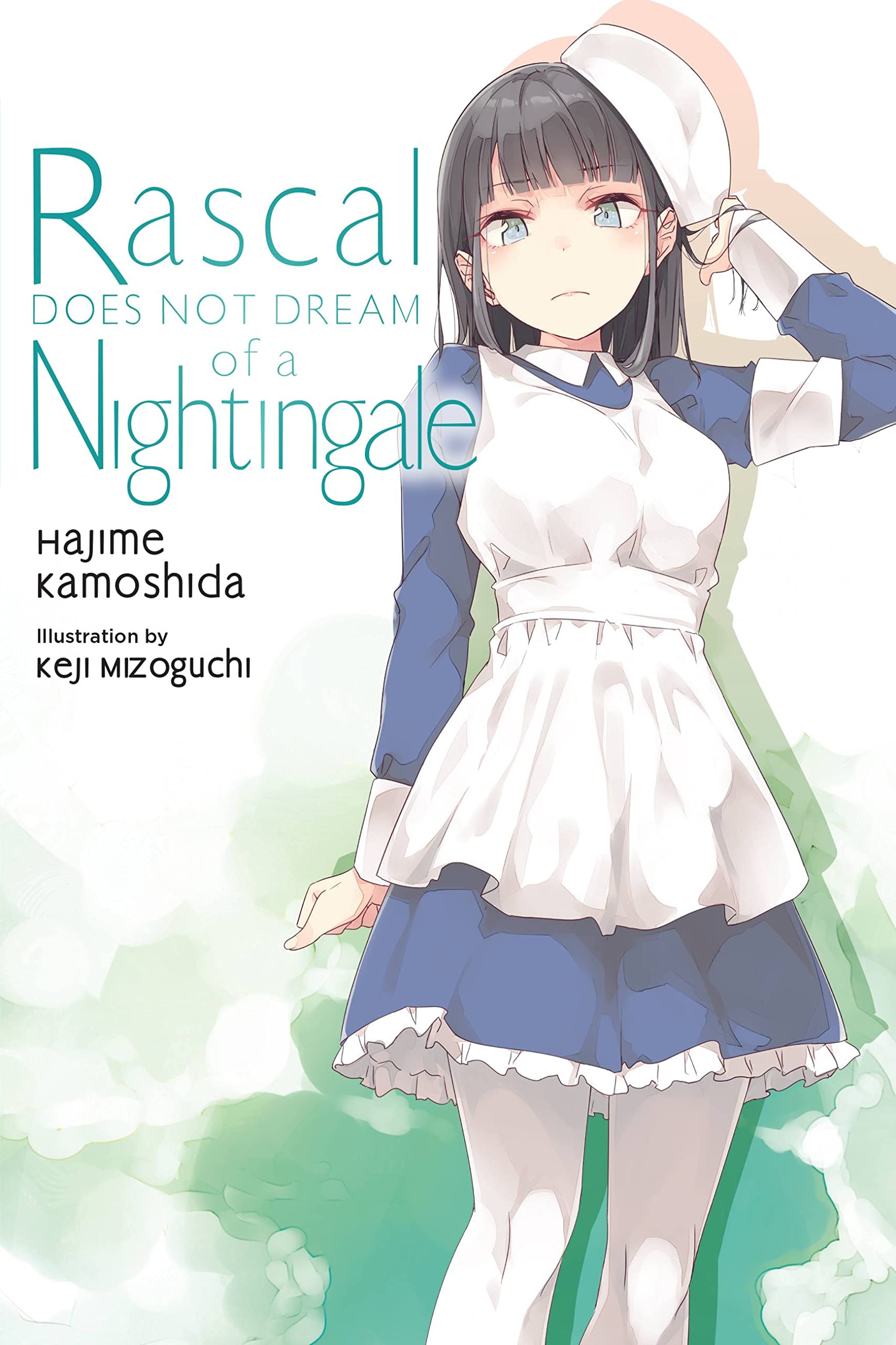 Rascal Does Not Dream, Vol. 11 (light novel): Volume 11 (Rascal Does Not Dream, 11, Band 11) Contemporary literature