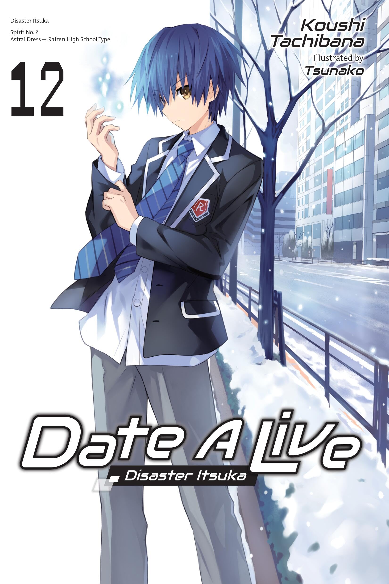 Date a Live, Vol. 12 (Light Novel) book