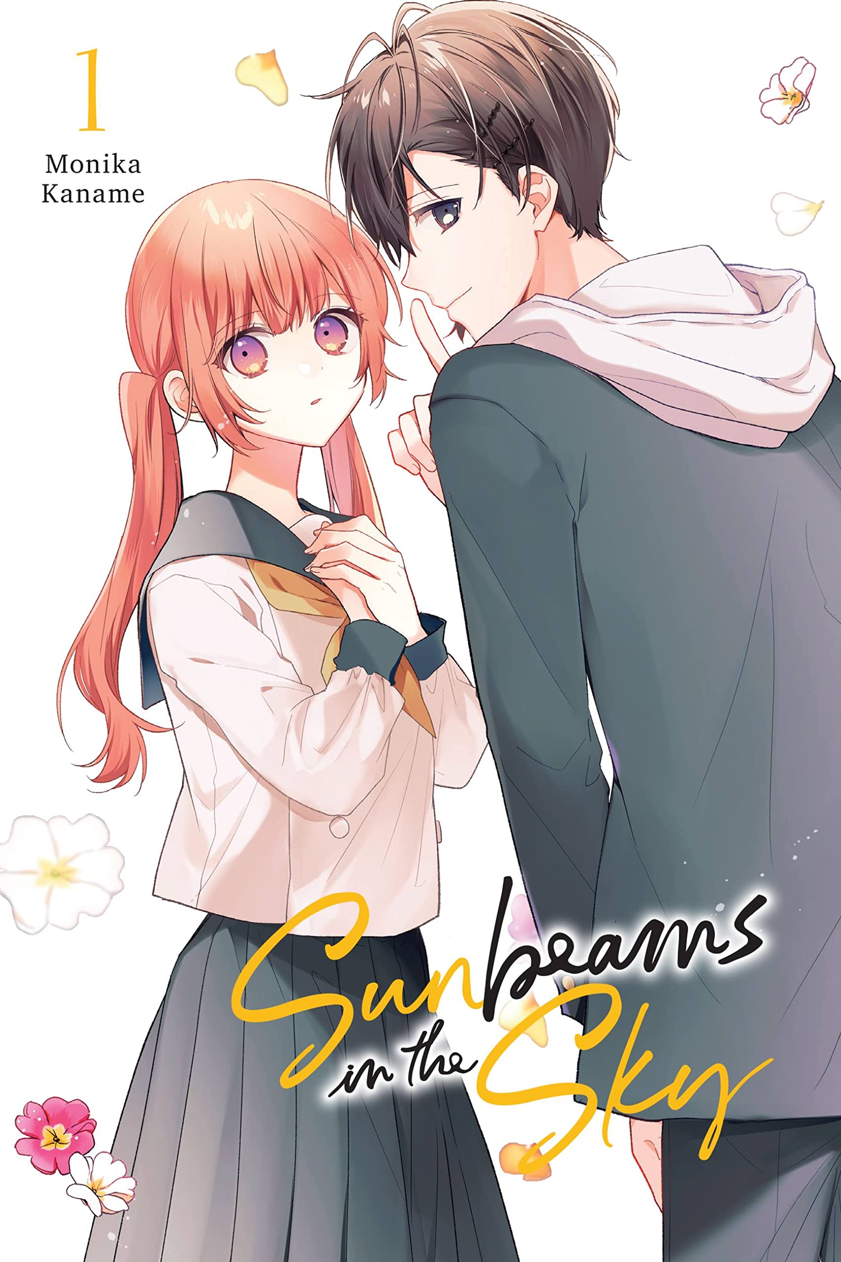 Sunbeams in the Sky, Vol. 1 (SUNBEAMS IN SKY GN) Manga