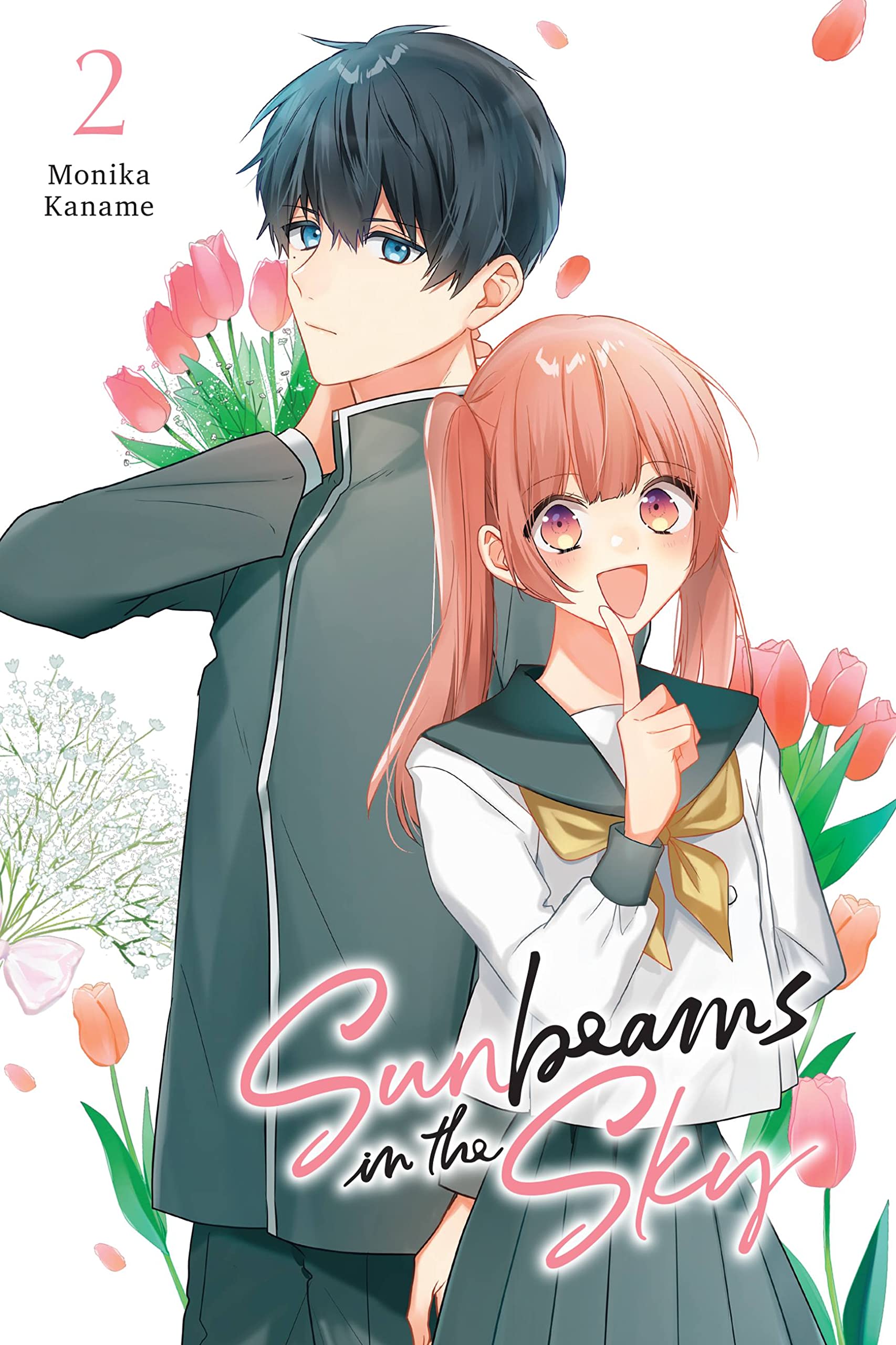 Sunbeams in the Sky, Vol. 2: Volume 2 (SUNBEAMS IN SKY GN, Band 2) Manga