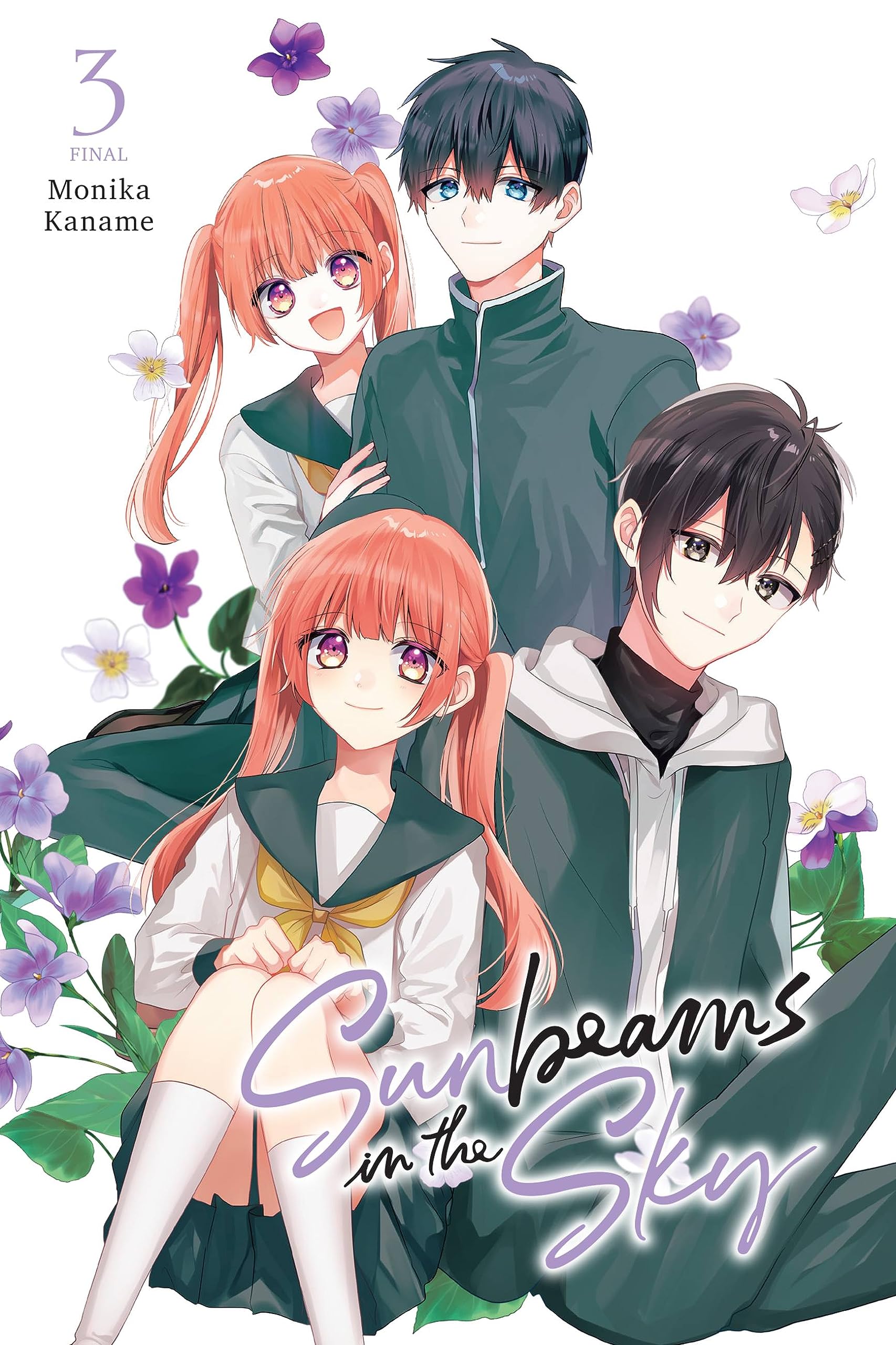 Sunbeams in the Sky, Vol. 3 (SUNBEAMS IN SKY GN) Manga
