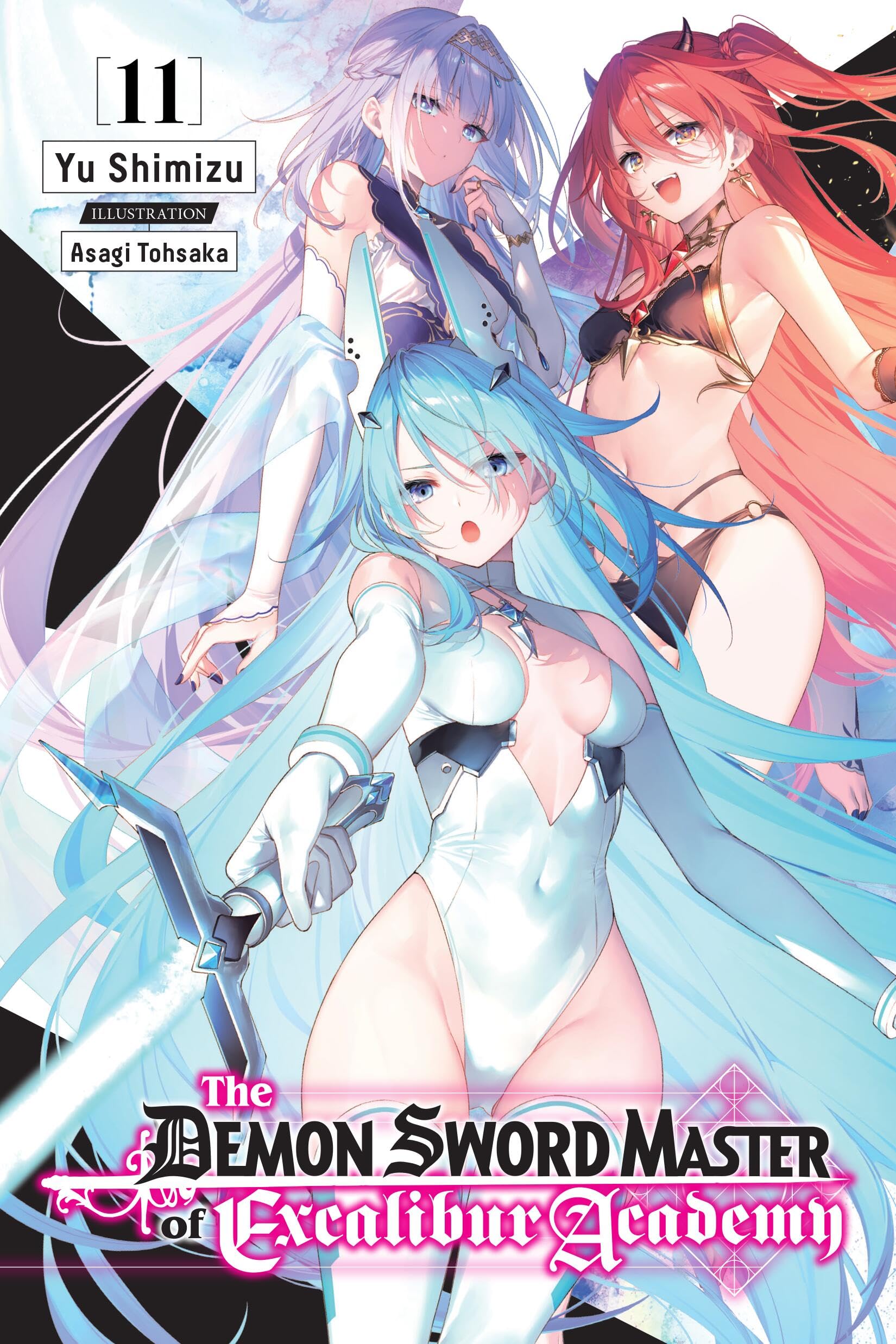 The Demon Sword Master of Excalibur Academy, Vol. 11 (Light Novel) Contemporary literature