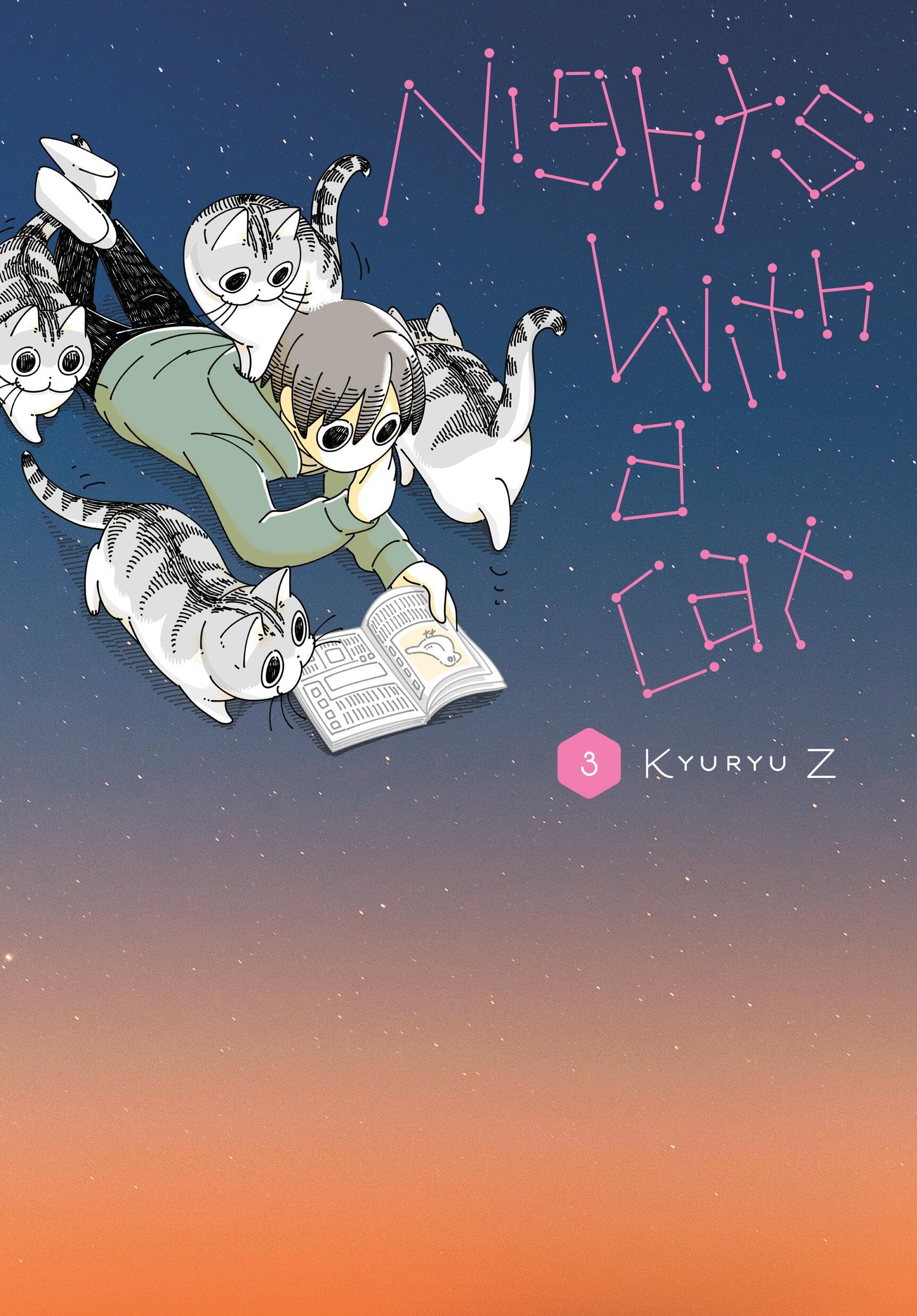 Nights with a Cat, Vol. 3 (NIGHTS WITH A CAT GN) Manga