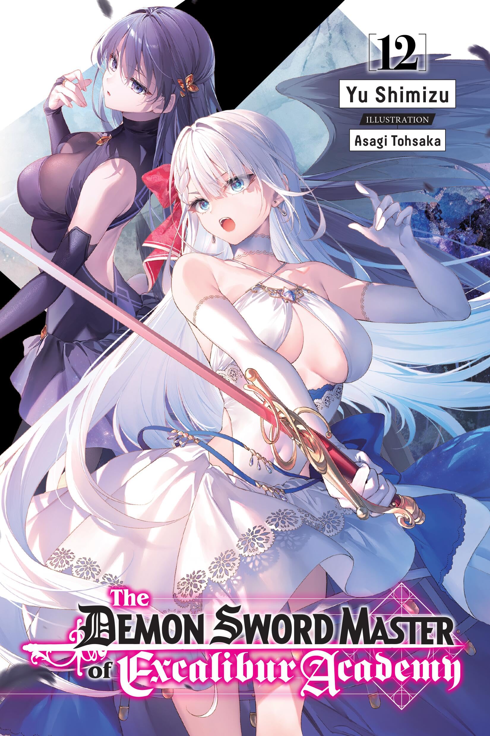 The Demon Sword Master of Excalibur Academy, Vol. 12 (Light Novel) Contemporary literature