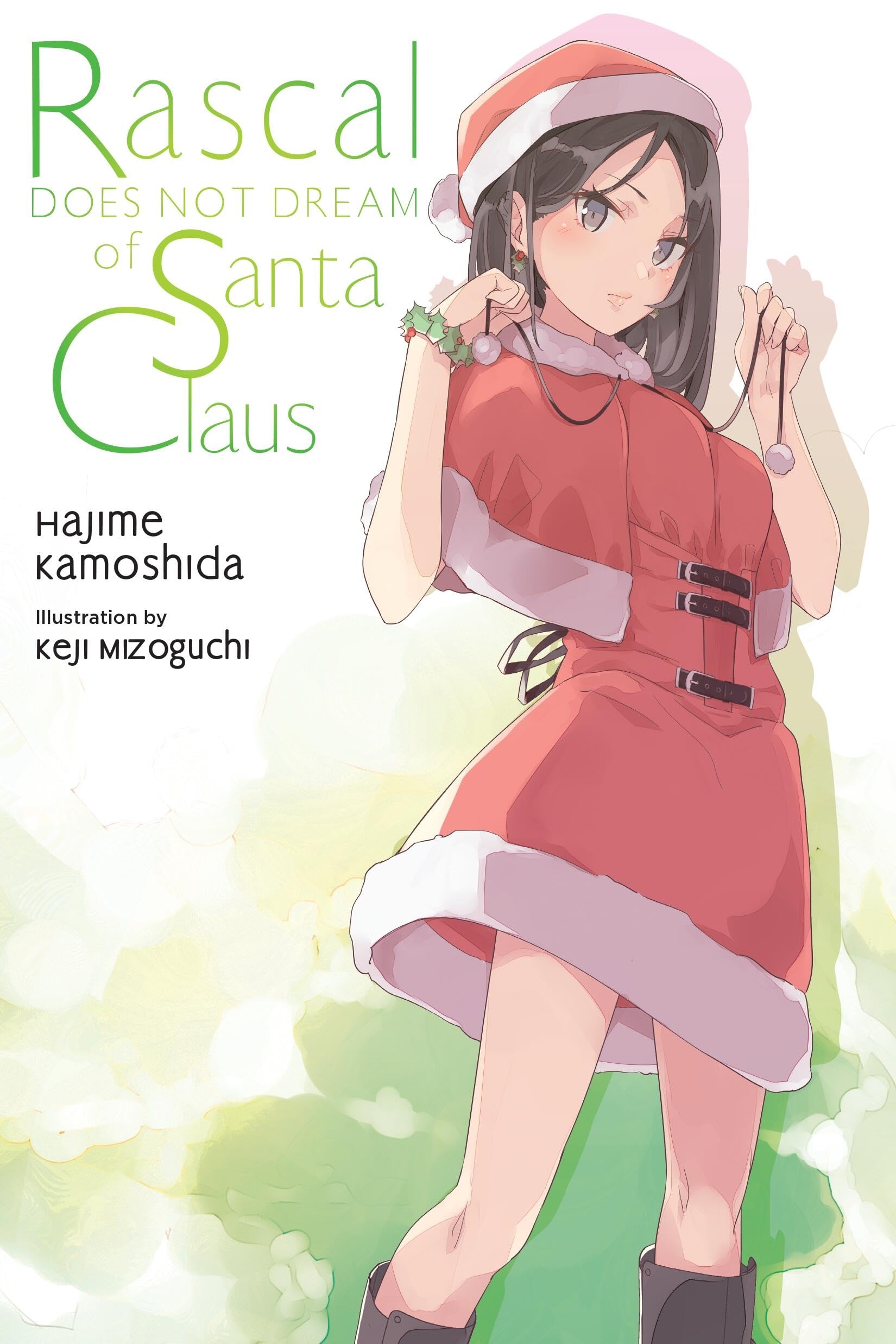 Rascal Does Not Dream of Santa Claus (light novel): Volume 13 Contemporary literature